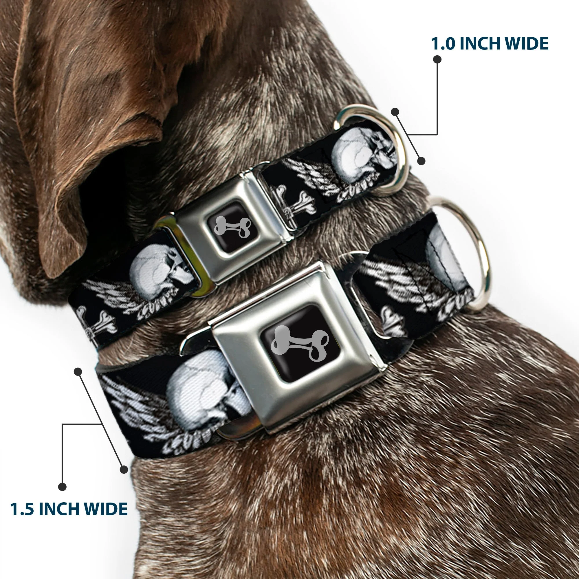 Dog Bone Seatbelt Buckle Collar - BD Skulls w/Wings Black/White - Image 2