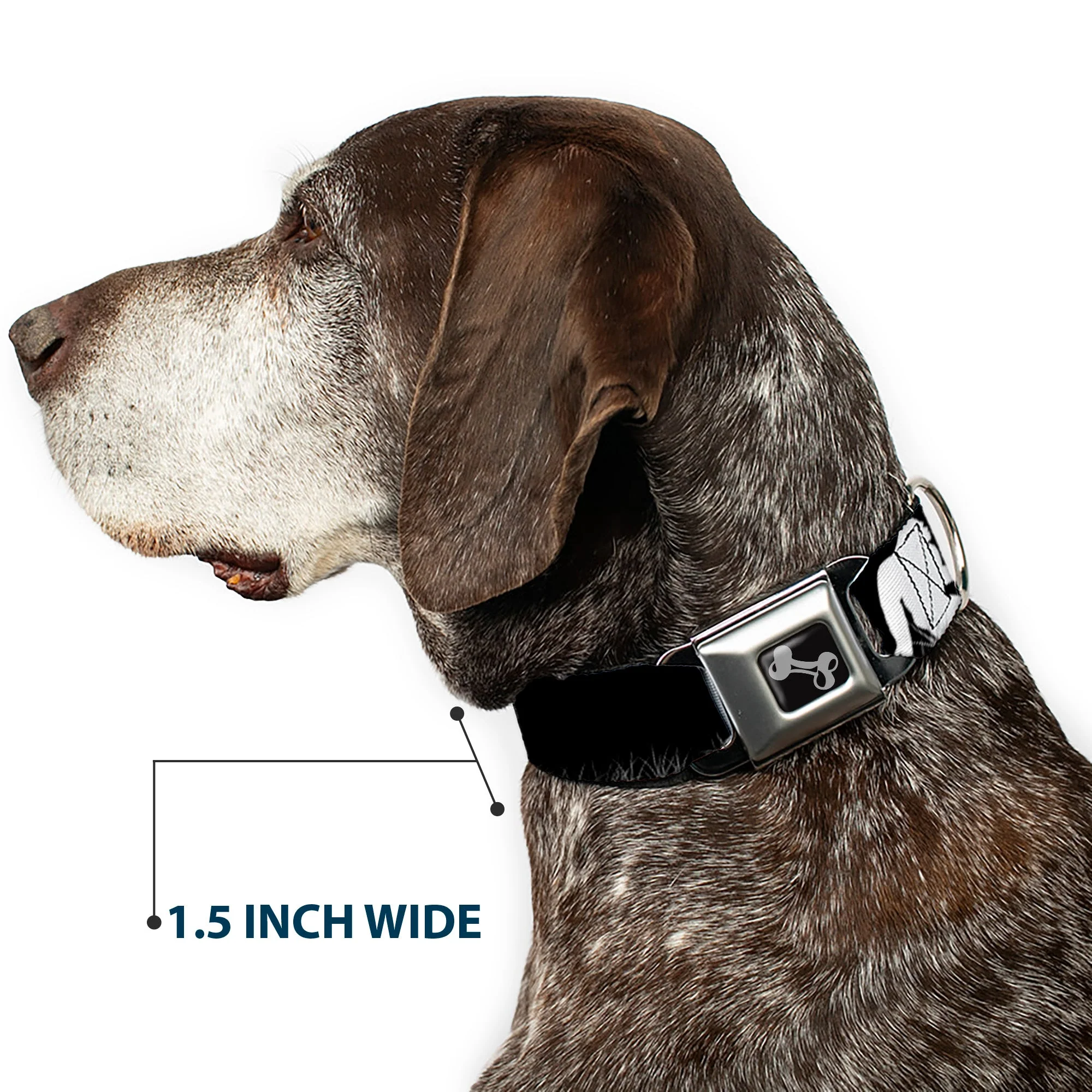 Dog Bone Seatbelt Buckle Collar - Bigfoot Silhouette I BELIEVE Black/Gray/White - Image 7