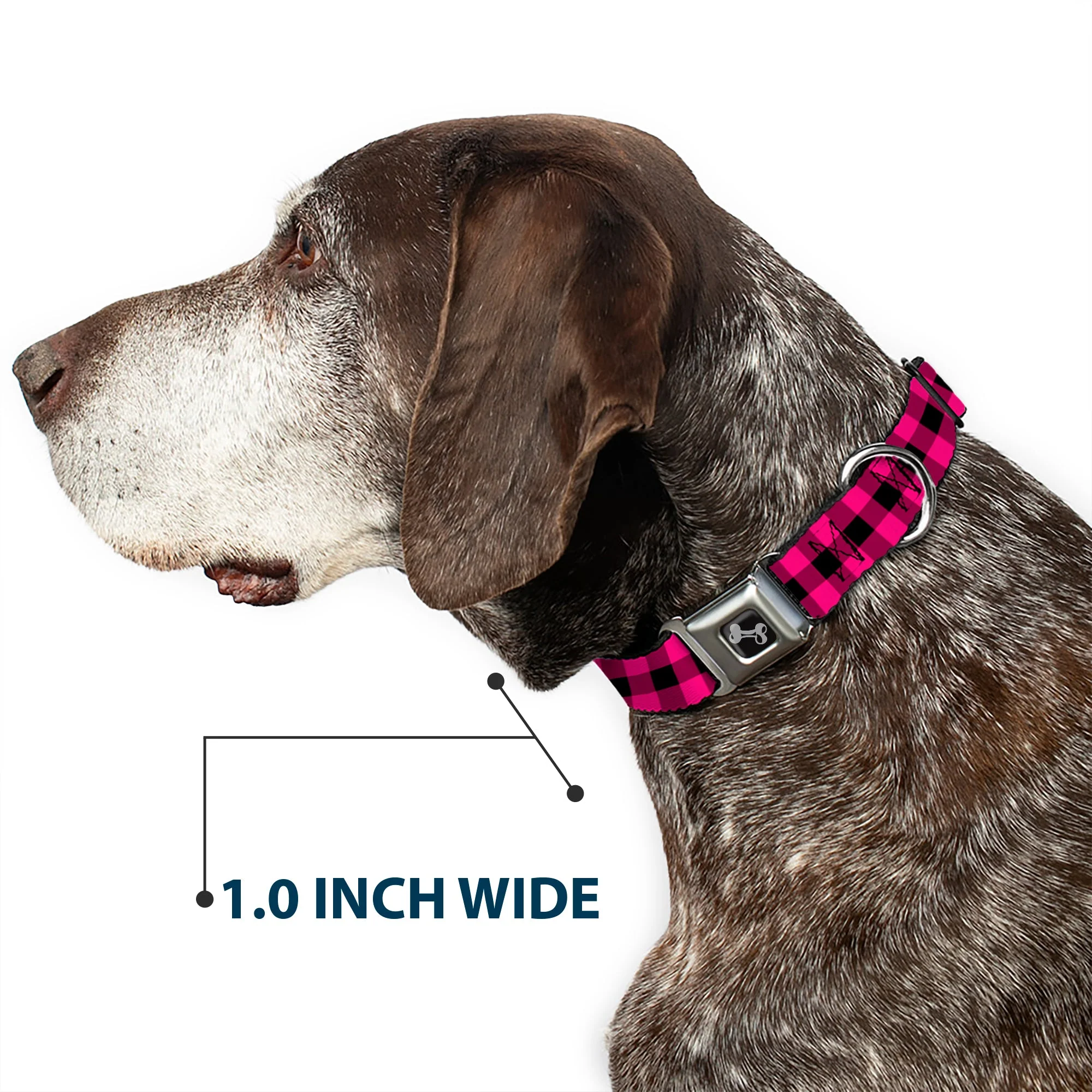 Dog Bone Seatbelt Buckle Collar - Buffalo Plaid Black/Fuchsia - Image 6