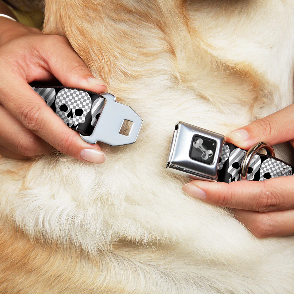 Dog Bone Seatbelt Buckle Collar - Checker & Stripe Skulls Black/White/Gray - Image 8