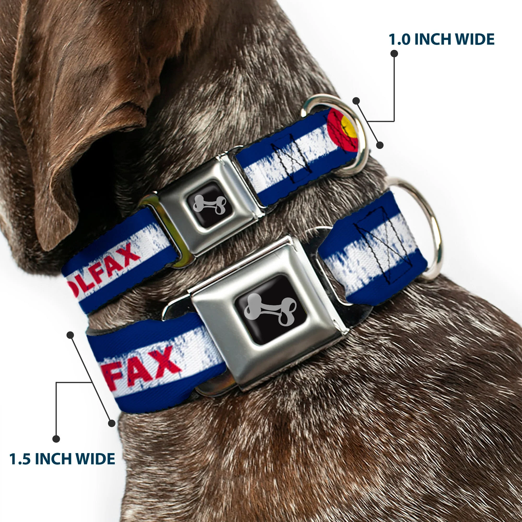 Dog Bone Seatbelt Buckle Collar - COLFAX Colorado Flag Weathered - Image 2