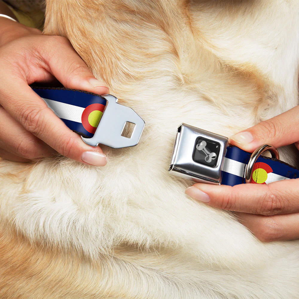 Dog Bone Seatbelt Buckle Collar - Colorado Flags2 Repeat - Image 8