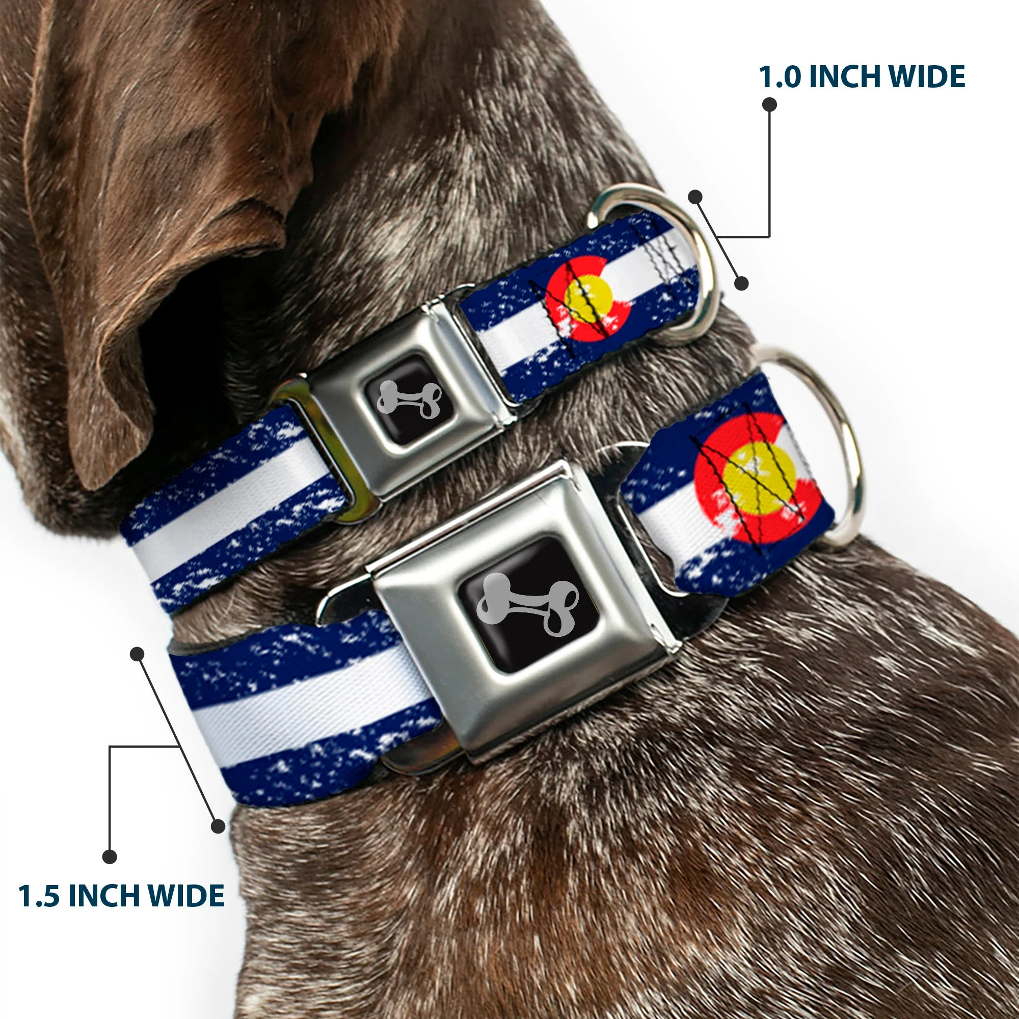 Dog Bone Seatbelt Buckle Collar - Colorado Flags4 Weathered - Image 2