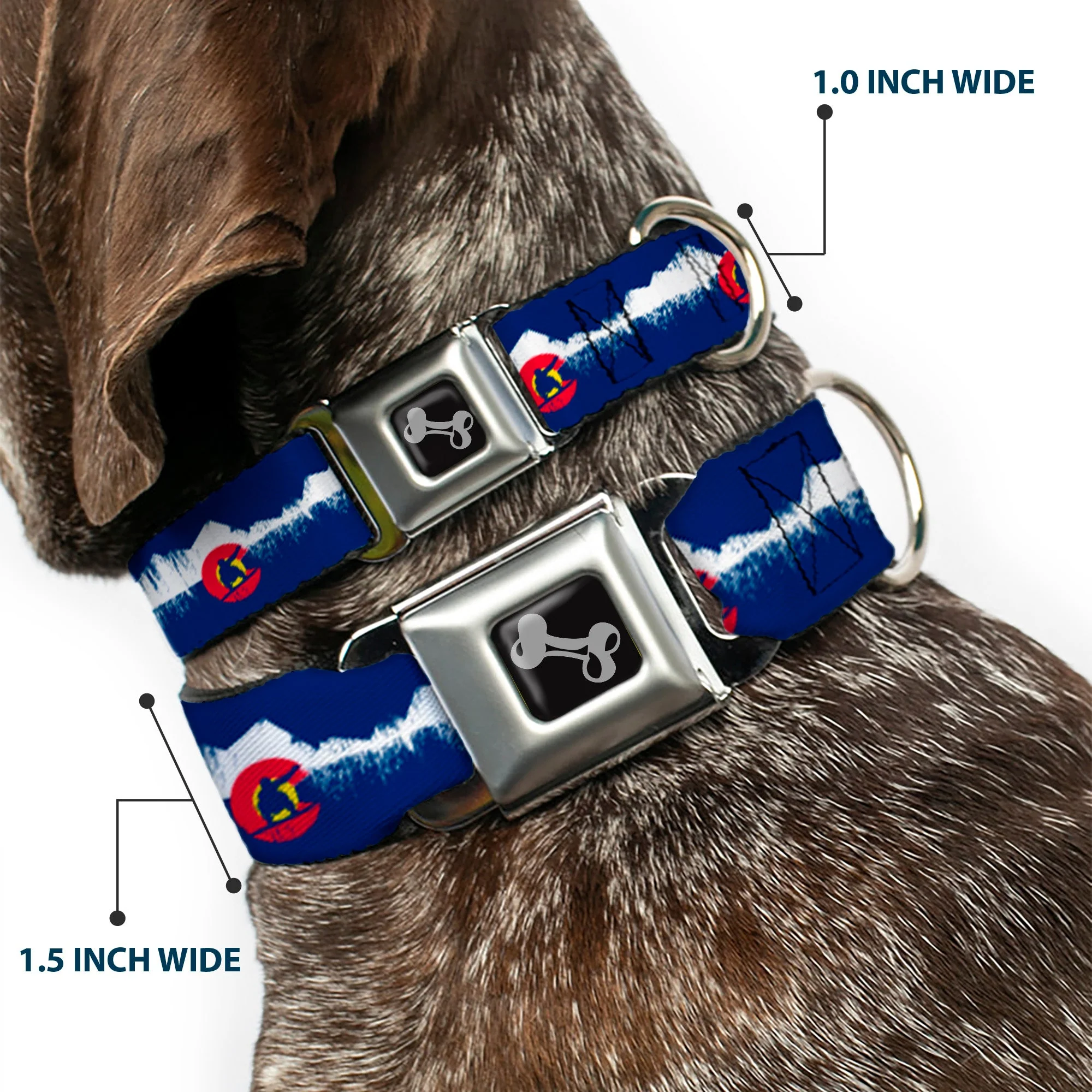 Dog Bone Seatbelt Buckle Collar - Colorado Snowboarder/Snowy Mountains Weathered - Image 2