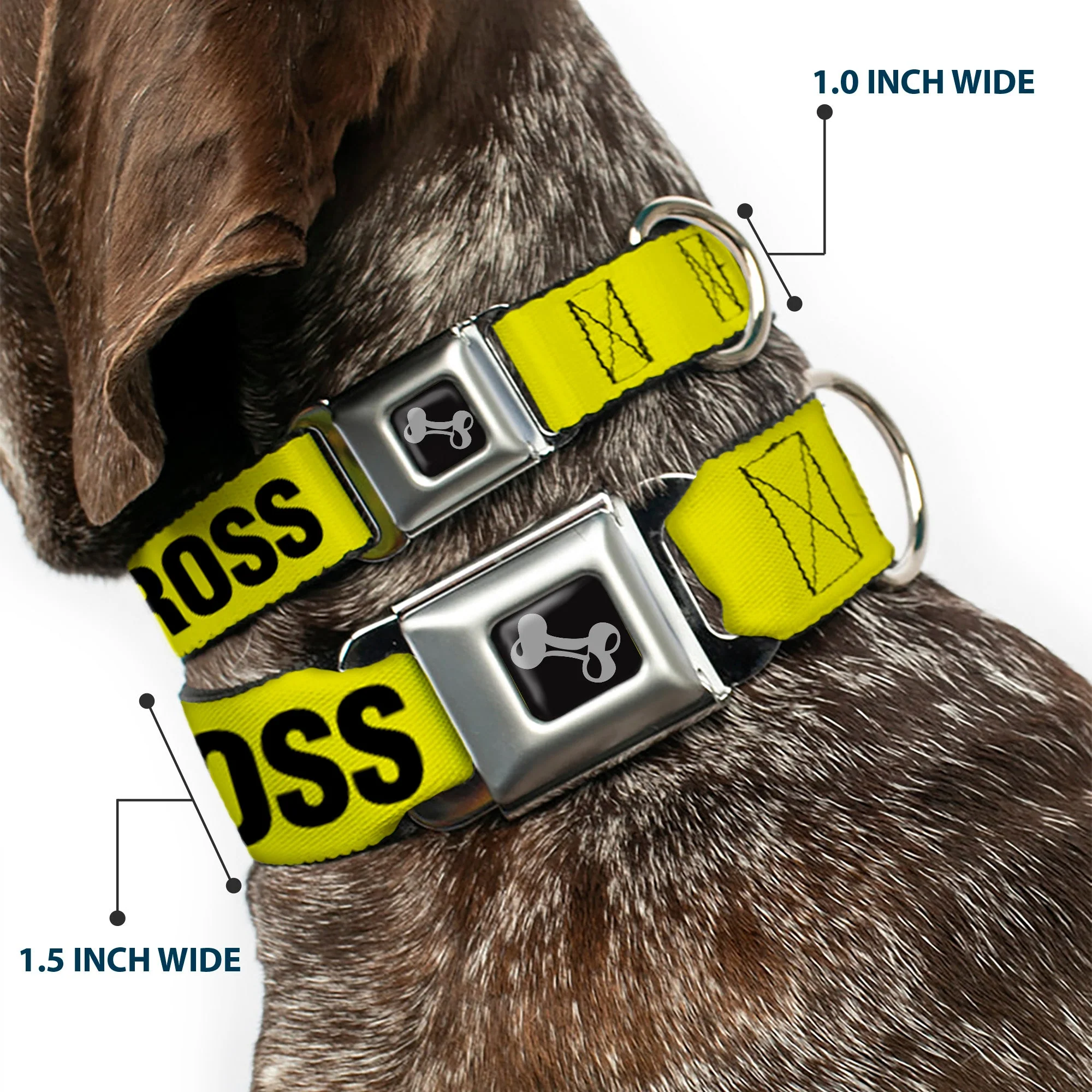 Dog Bone Seatbelt Buckle Collar - CRIME SCENE DO NOT CROSS Yellow/Black - Image 2