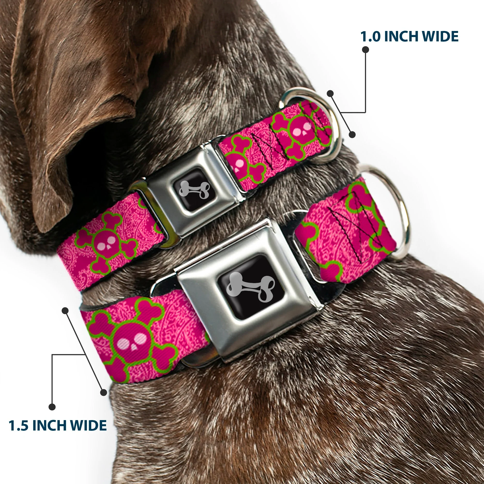 Dog Bone Seatbelt Buckle Collar - Cute Skulls w/Paisley Purple/Pink/Green - Image 2
