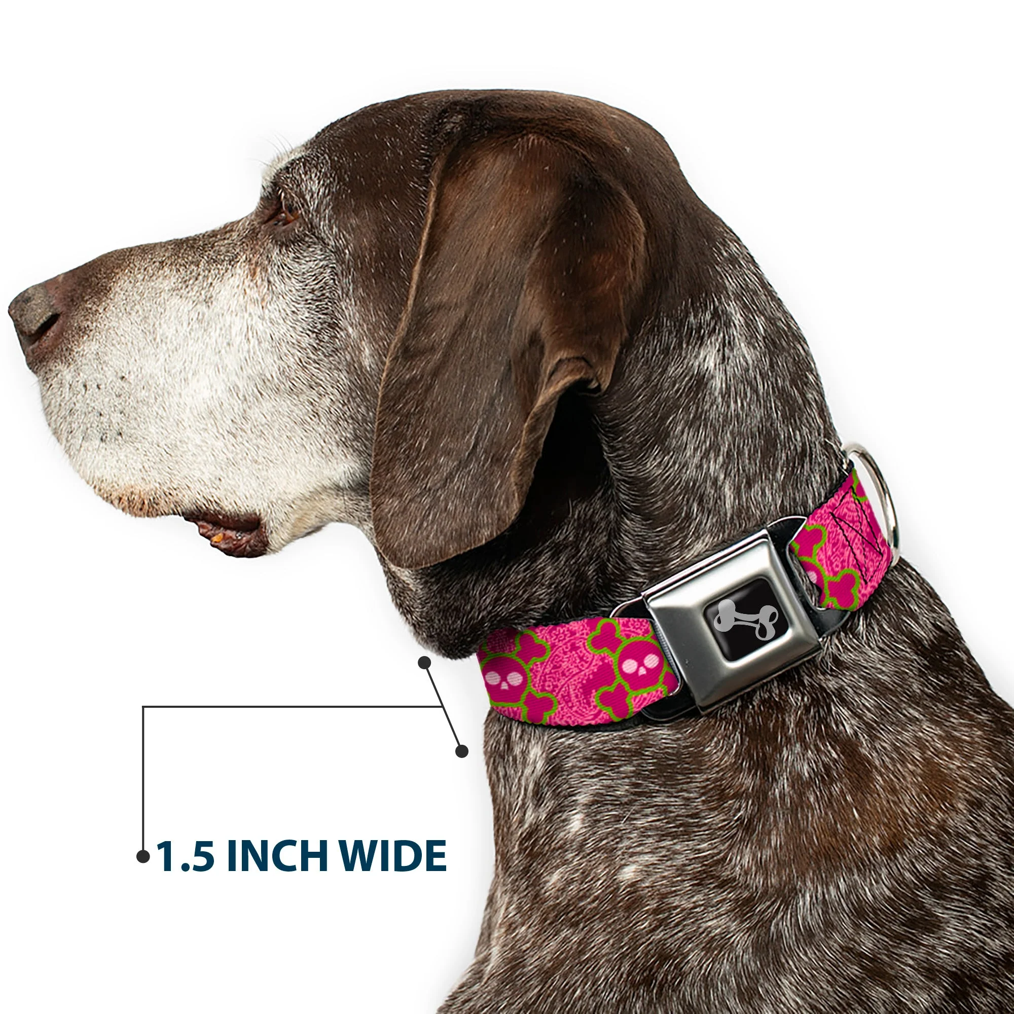 Dog Bone Seatbelt Buckle Collar - Cute Skulls w/Paisley Purple/Pink/Green - Image 7