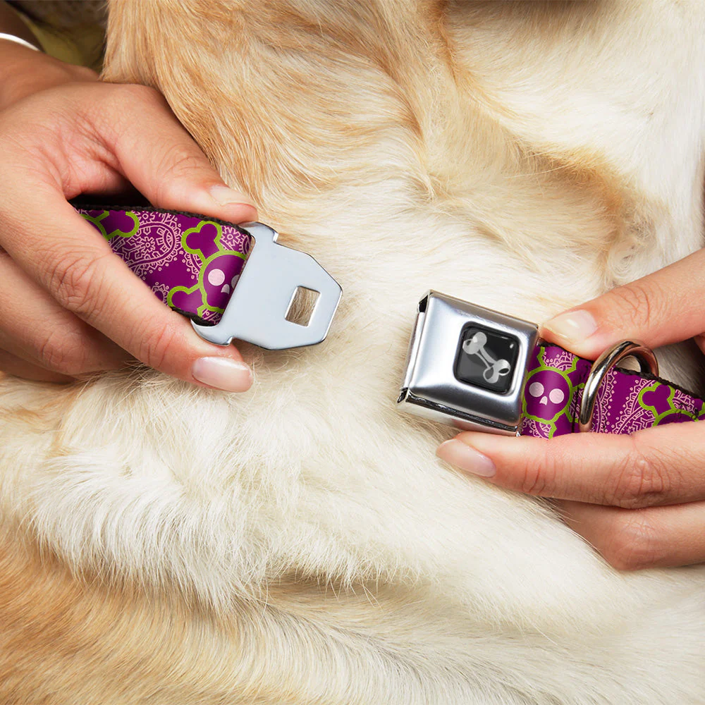 Dog Bone Seatbelt Buckle Collar - Cute Skulls w/Paisley Purple/Pink/Green - Image 8