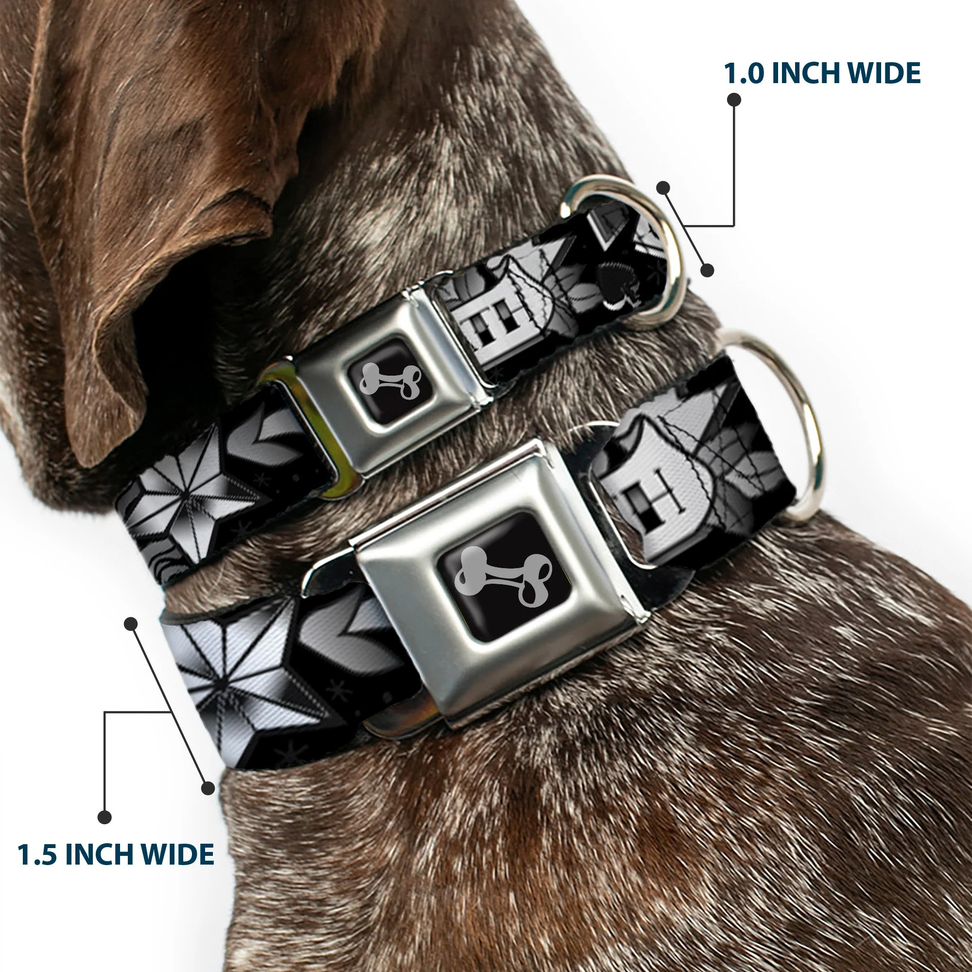 Dog Bone Seatbelt Buckle Collar - Death or Glory Black/White - Image 2
