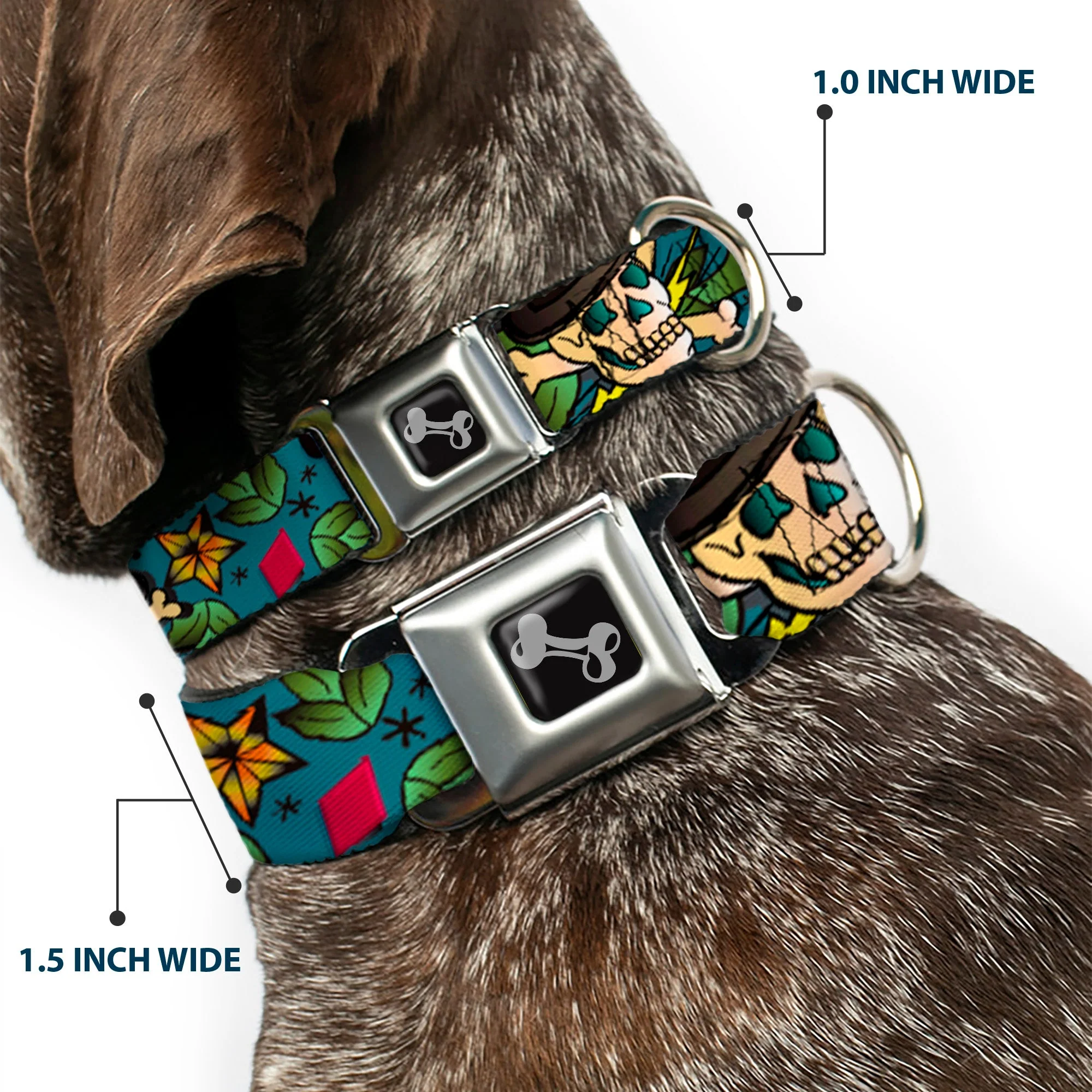 Dog Bone Seatbelt Buckle Collar - Death or Glory CLOSE-UP Gray - Image 2