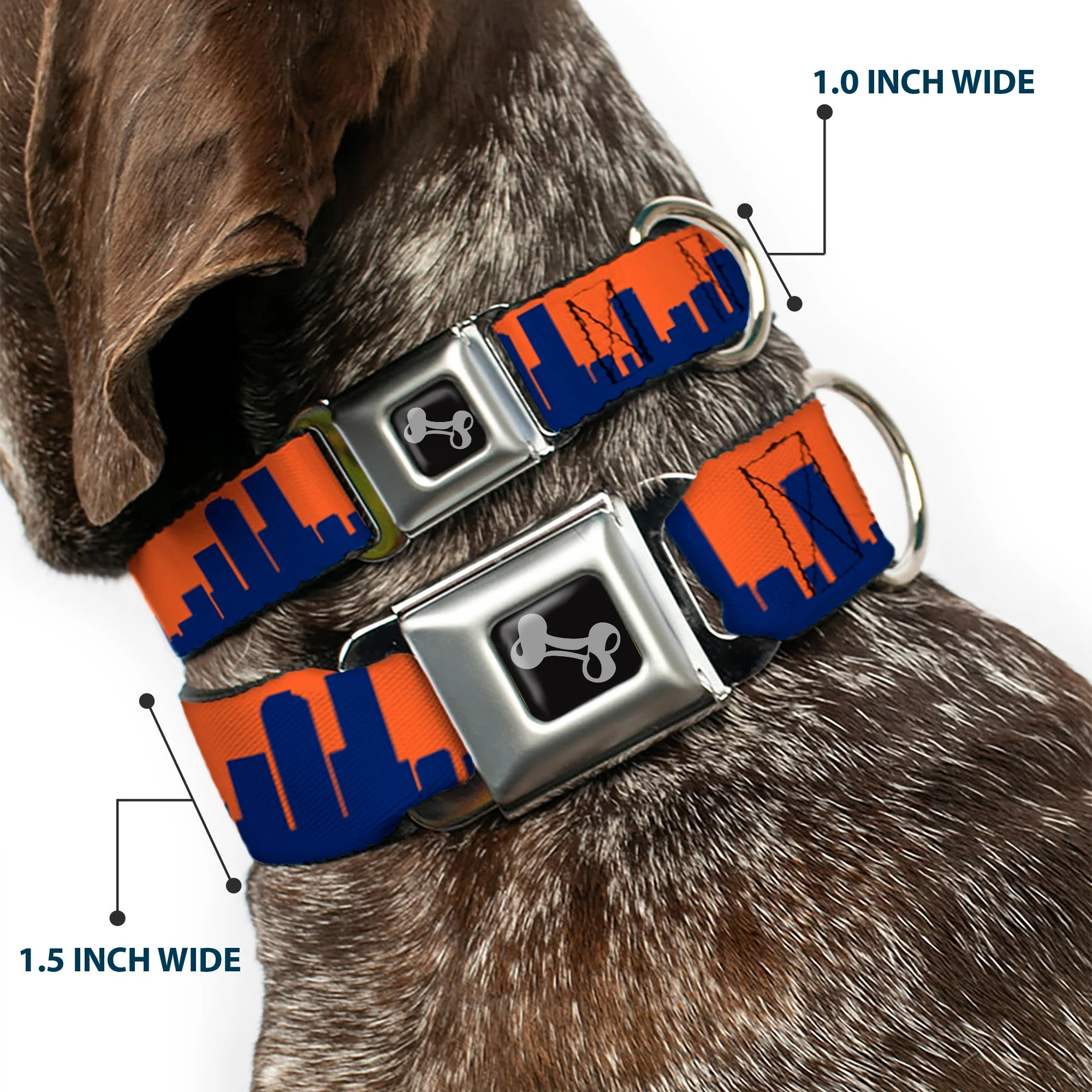 Dog Bone Seatbelt Buckle Collar - Denver Solid Skyline Orange/Navy - Image 2