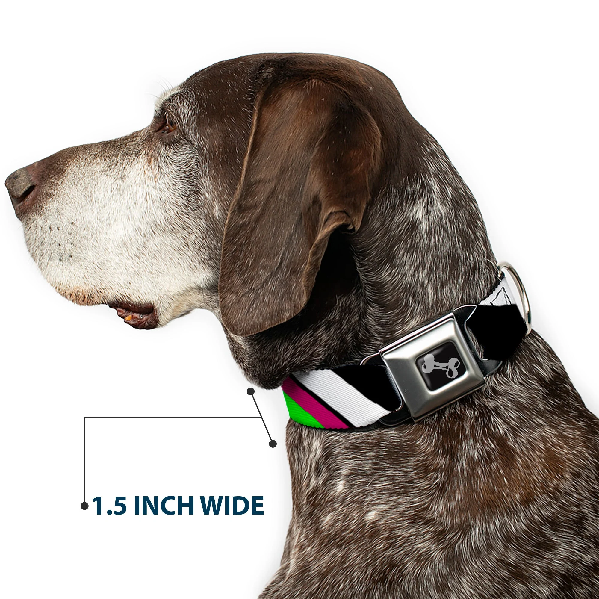Dog Bone Seatbelt Buckle Collar - Diagonal Stripes Black/White/Pink/Green - Image 7