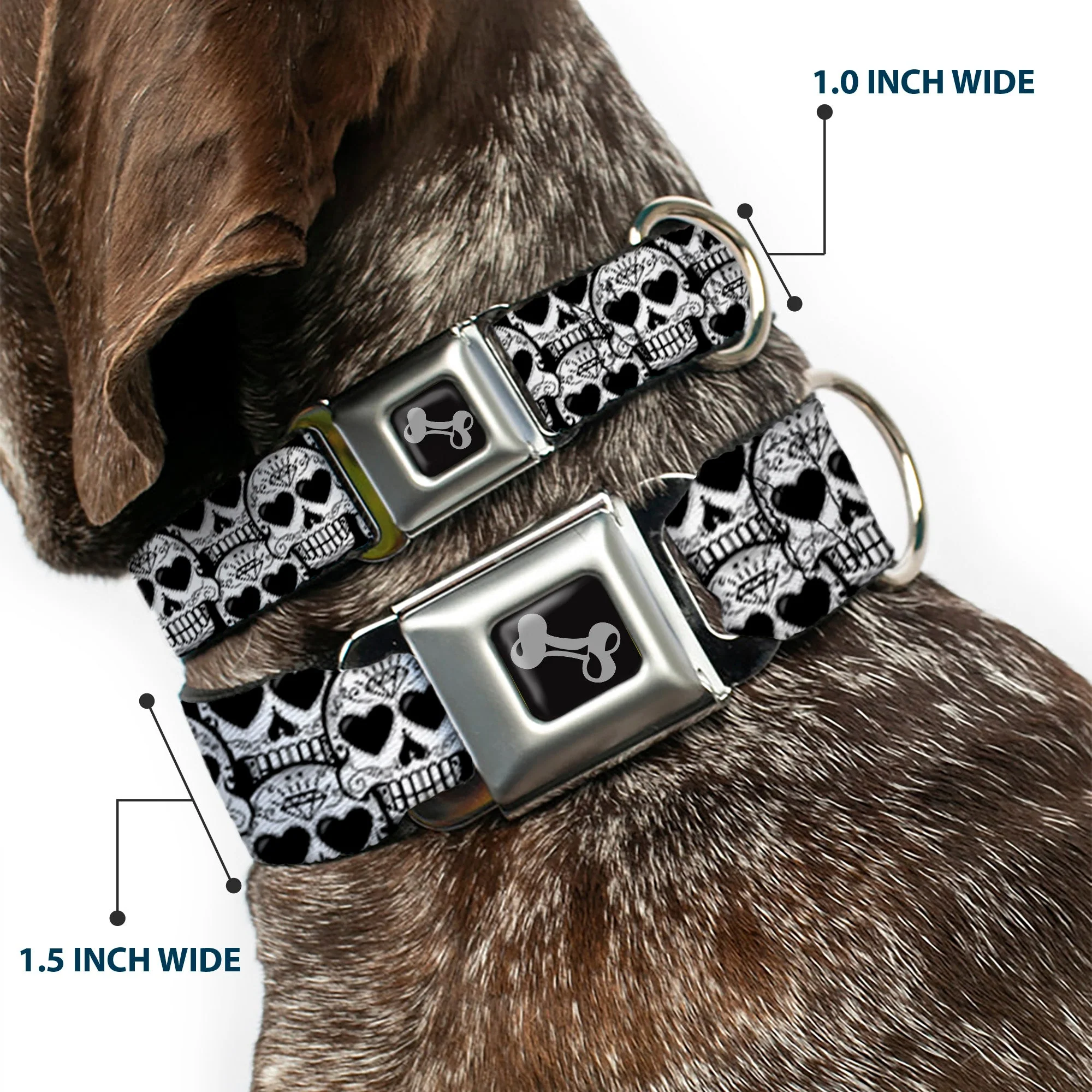 Dog Bone Seatbelt Buckle Collar - Diamond Sugar Skull Stacked Black/Silver Fade/White - Image 2
