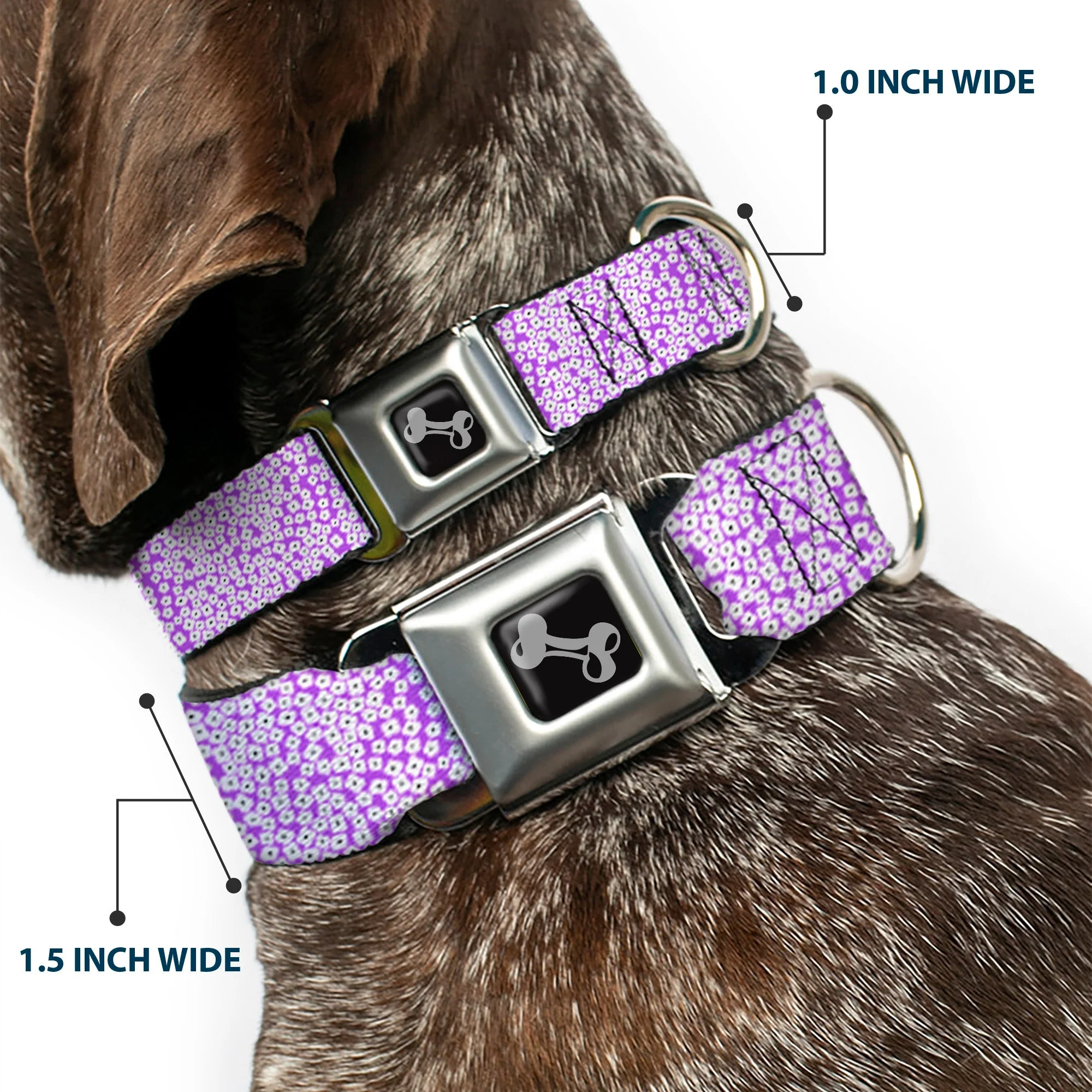 Dog Bone Seatbelt Buckle Collar - Ditsy Floral Lavender/White/Black - Image 2