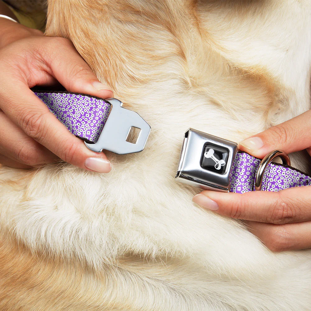 Dog Bone Seatbelt Buckle Collar - Ditsy Floral Lavender/White/Black - Image 8