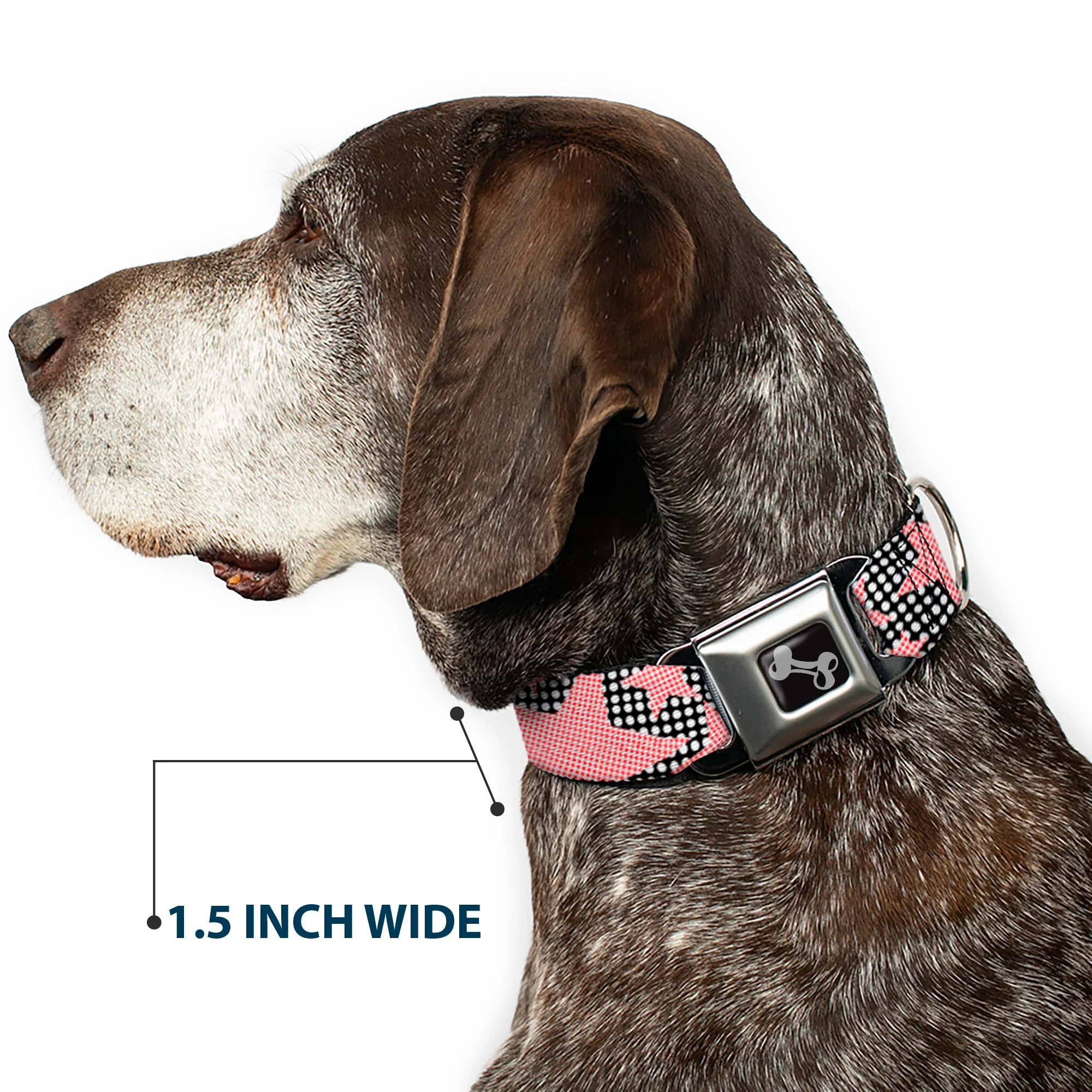 Dog Bone Seatbelt Buckle Collar - Eighties Stars2 Black/White/Red - Image 7