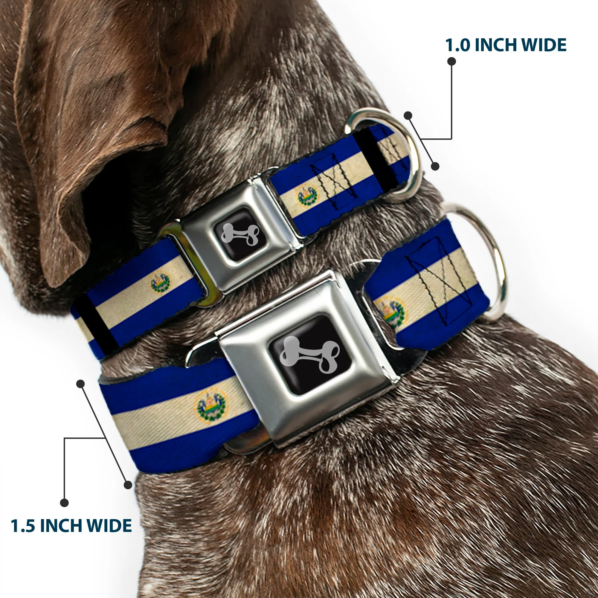 Dog Bone Seatbelt Buckle Collar - El Salvador Flag/Black - Image 2