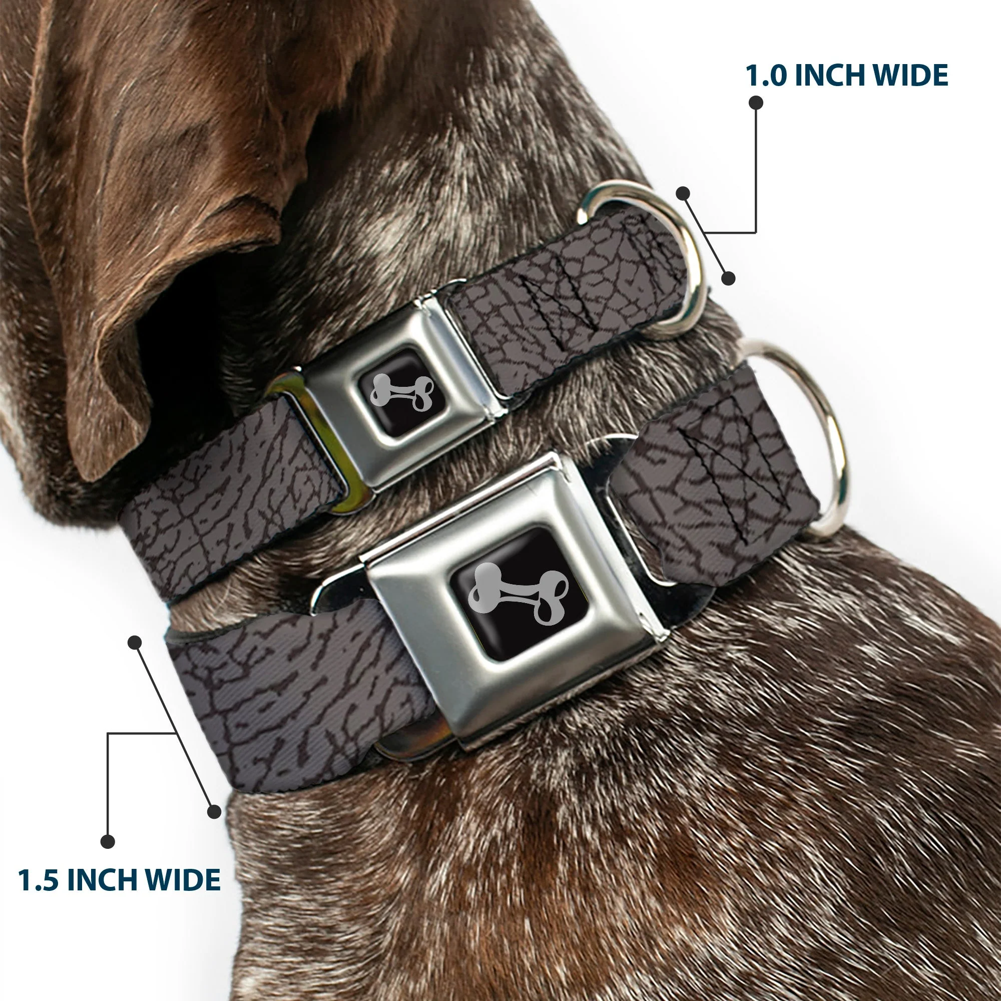 Dog Bone Seatbelt Buckle Collar - Elephant Crackle Grays - Image 2
