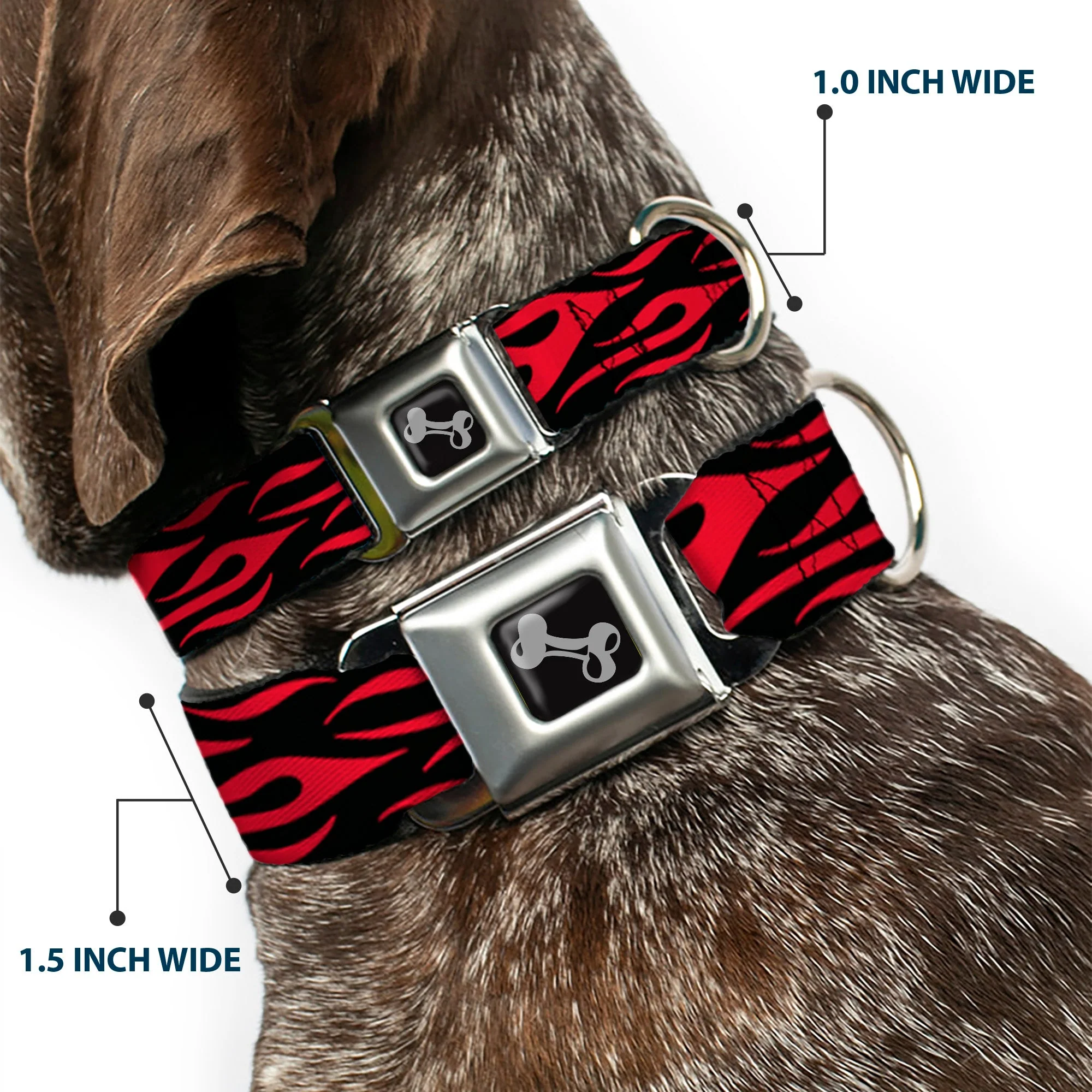 Dog Bone Seatbelt Buckle Collar - Flame Red - Image 2