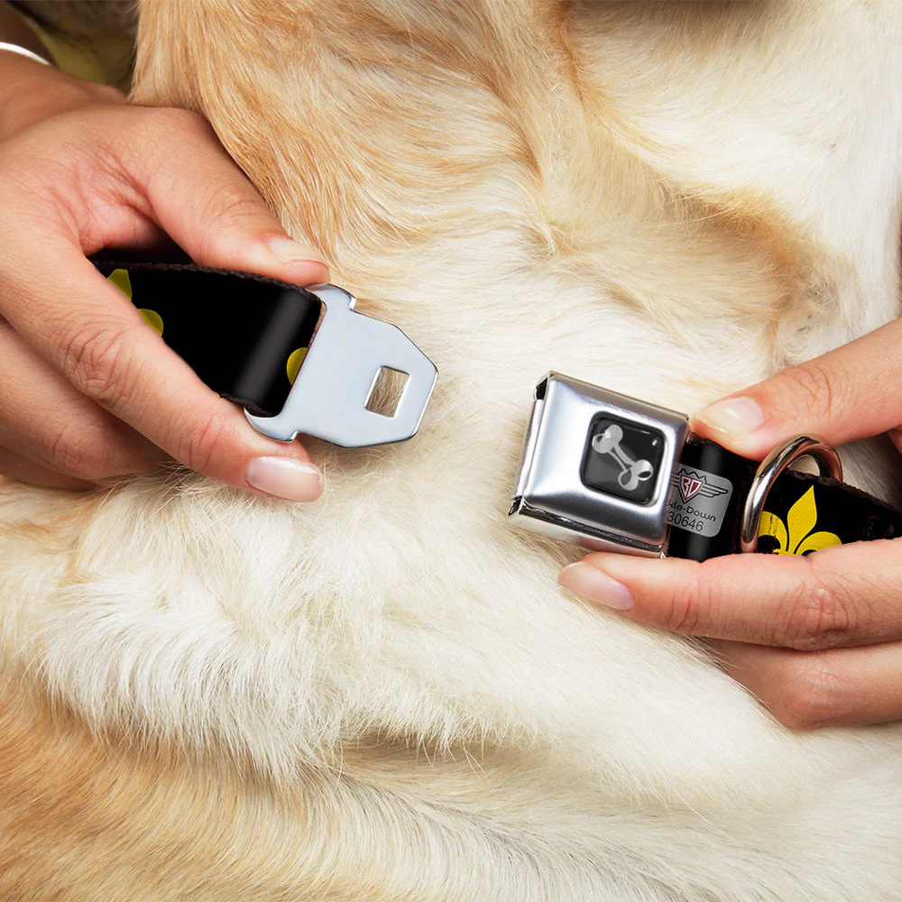 Dog Bone Seatbelt Buckle Collar - Fleur-de-Lis Black/Yellow - Image 8
