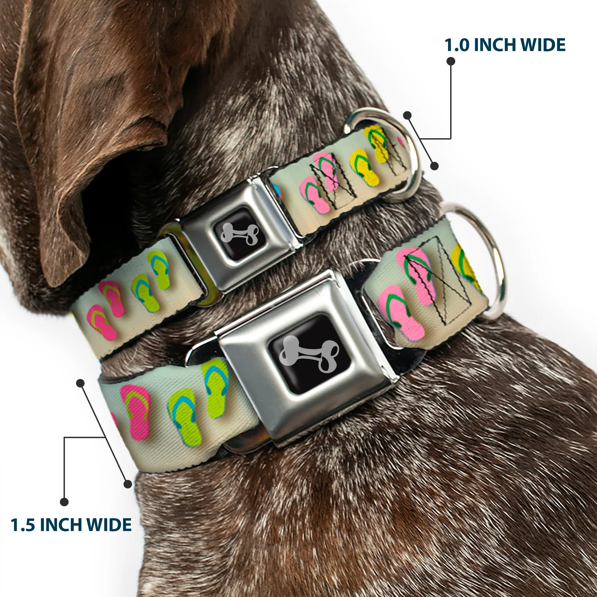 Dog Bone Seatbelt Buckle Collar - Flip Flops2 Aqua/Multi Color - Image 2