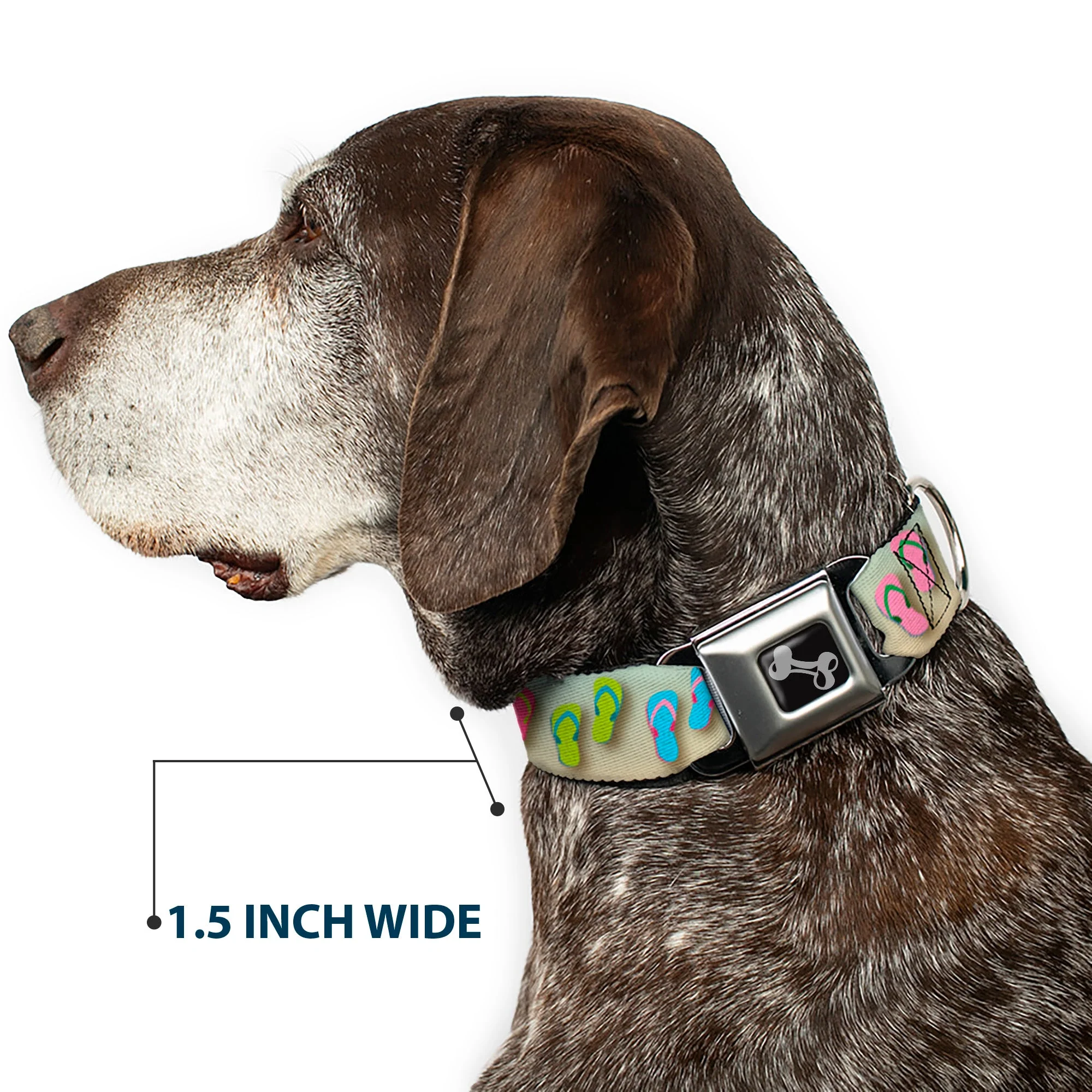 Dog Bone Seatbelt Buckle Collar - Flip Flops2 Aqua/Multi Color - Image 7