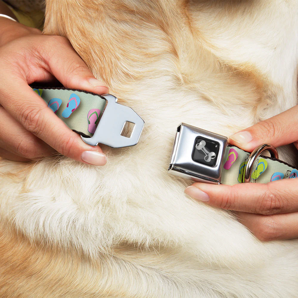 Dog Bone Seatbelt Buckle Collar - Flip Flops2 Aqua/Multi Color - Image 8