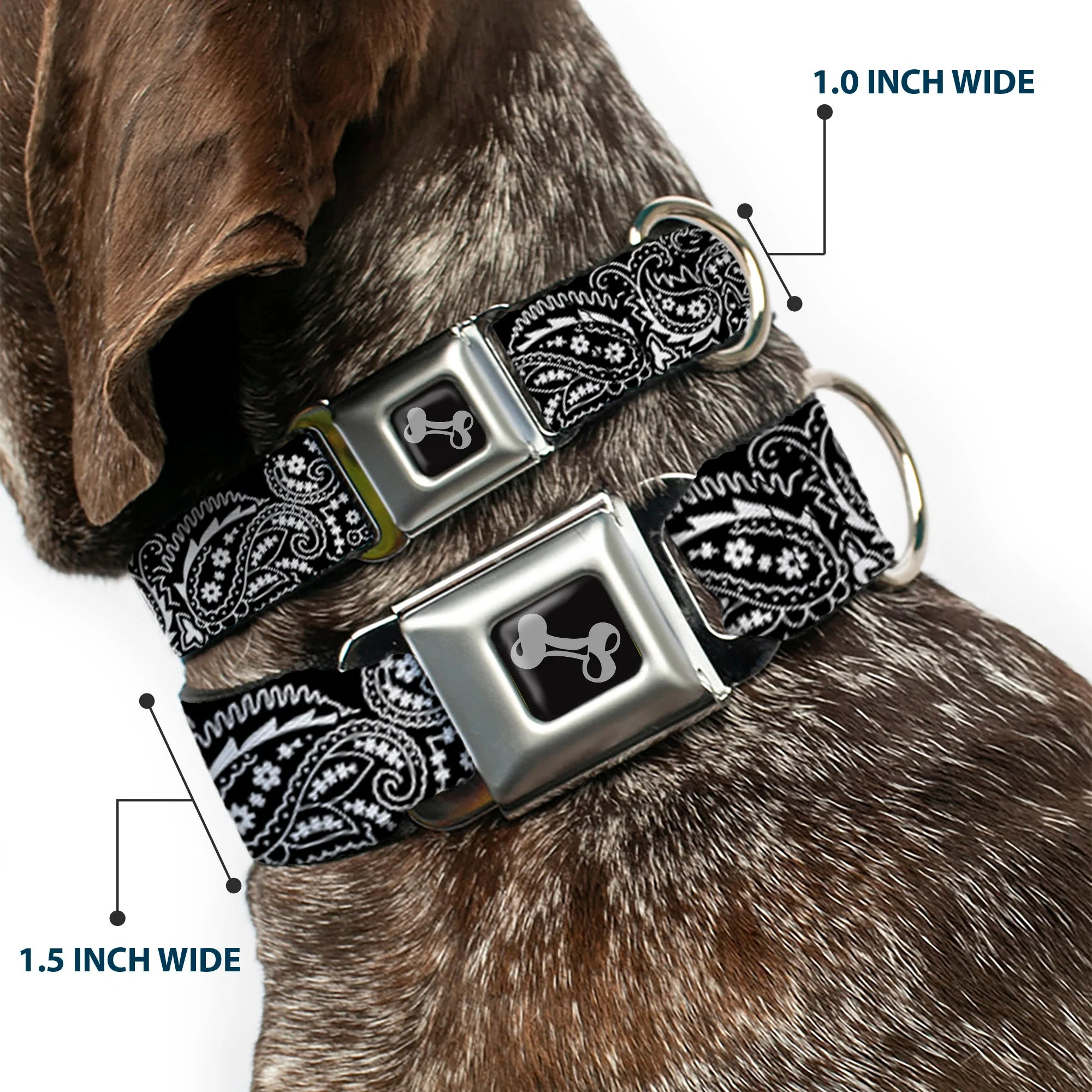 Dog Bone Seatbelt Buckle Collar - Floral Paisley2 Black/White - Image 2