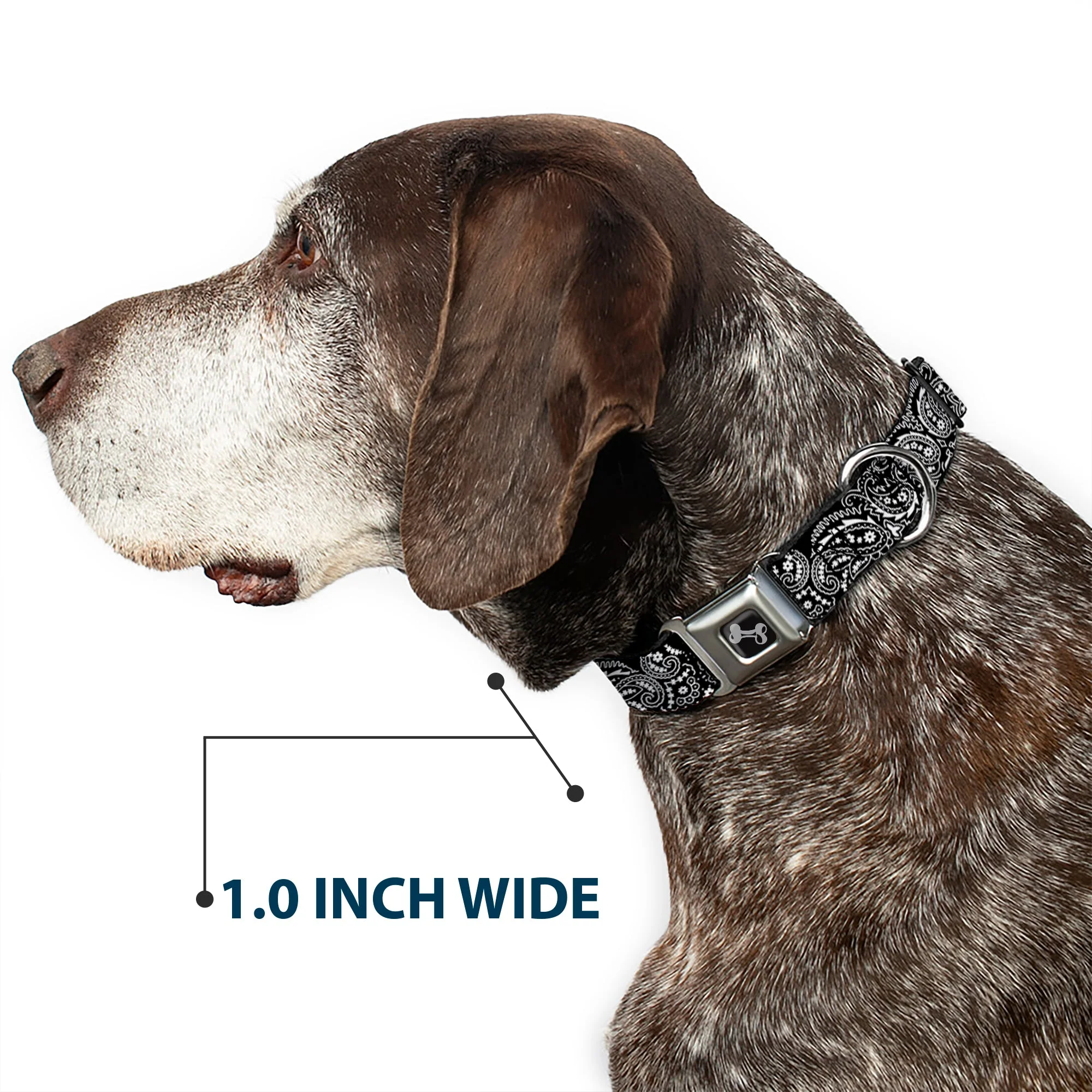Dog Bone Seatbelt Buckle Collar - Floral Paisley2 Black/White - Image 6