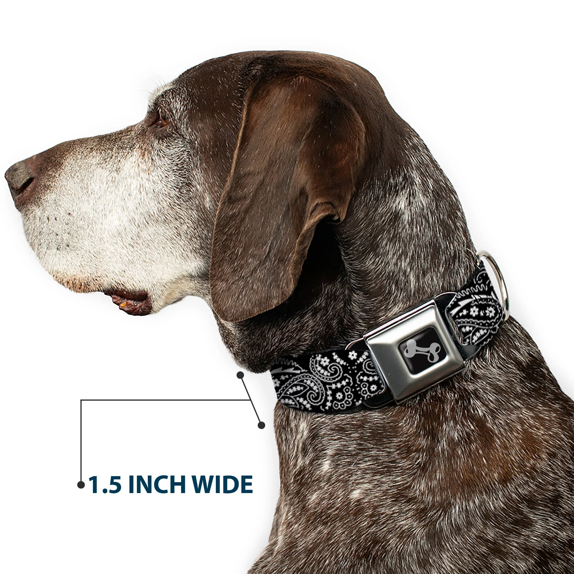 Dog Bone Seatbelt Buckle Collar - Floral Paisley2 Black/White - Image 7