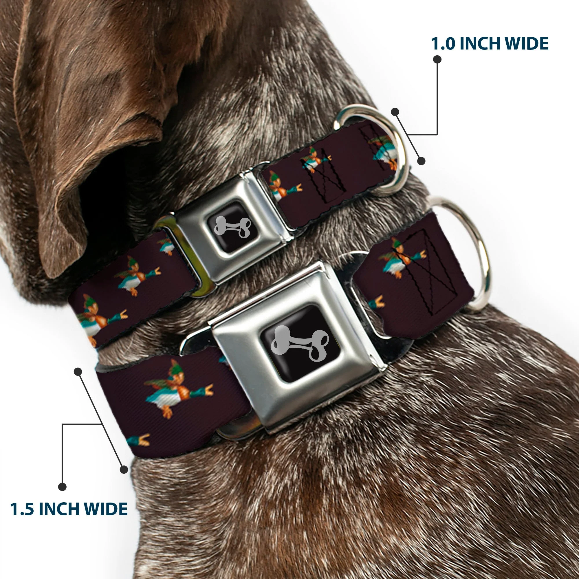 Dog Bone Seatbelt Buckle Collar - Flying Mallards Burgundy - Image 2