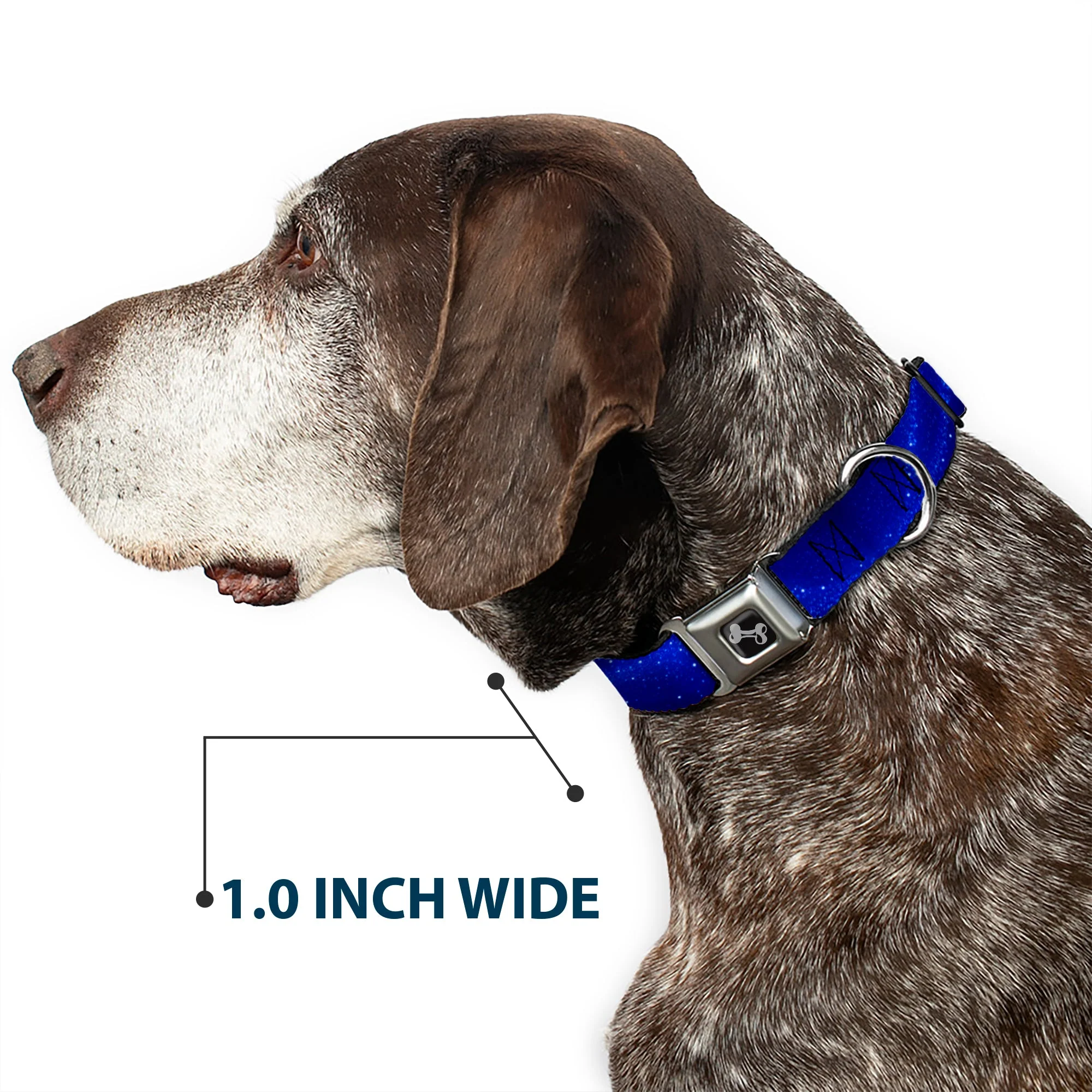 Dog Bone Seatbelt Buckle Collar - Galaxy Arch Blues/White - Image 6