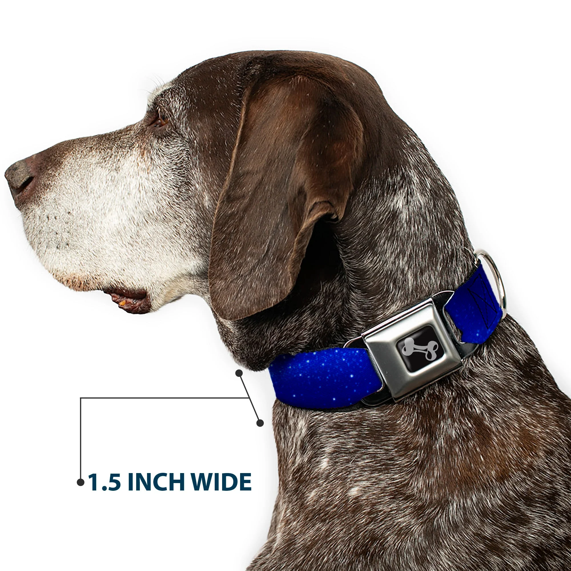 Dog Bone Seatbelt Buckle Collar - Galaxy Arch Blues/White - Image 7