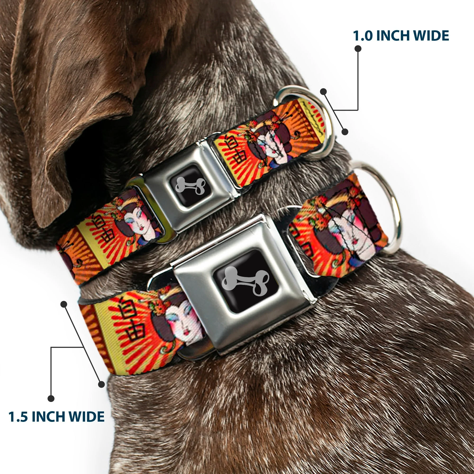 Dog Bone Seatbelt Buckle Collar - Geisha Distressed Repeat - Image 2