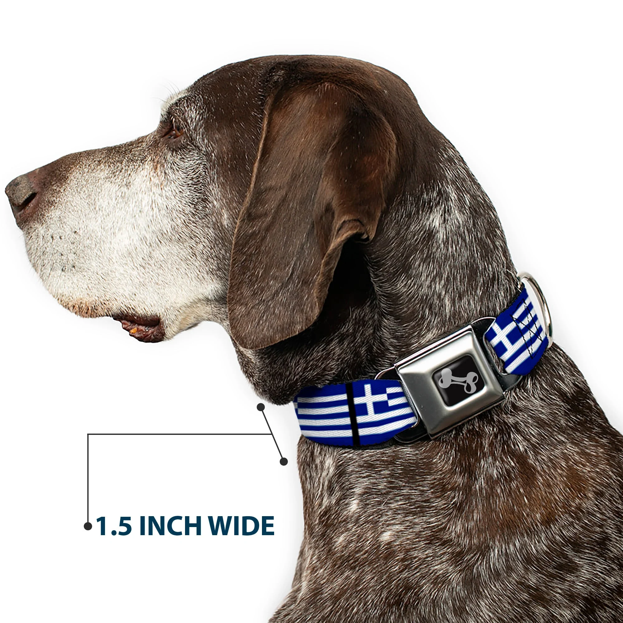 Dog Bone Seatbelt Buckle Collar - Greece Flags - Image 7