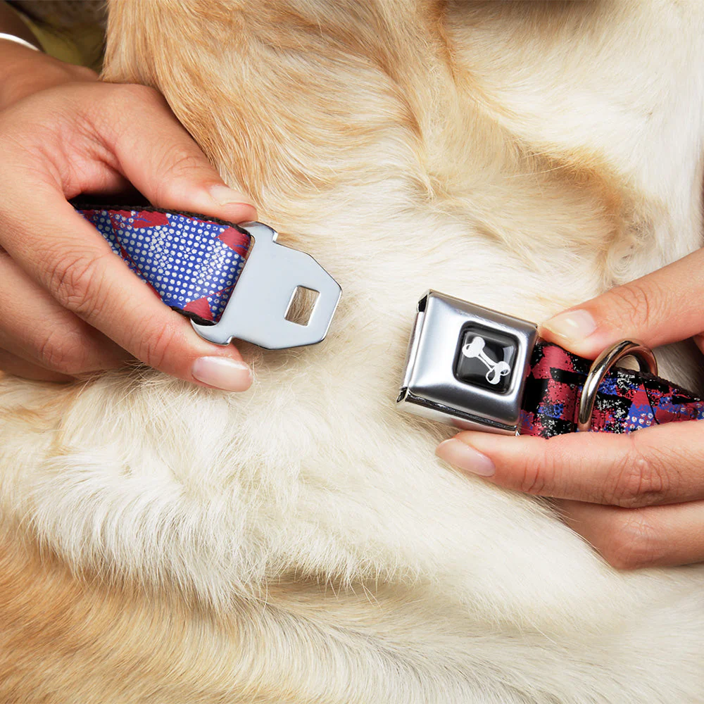 Dog Bone Seatbelt Buckle Collar - Grunge Checker Flag Blue/Red - Image 8