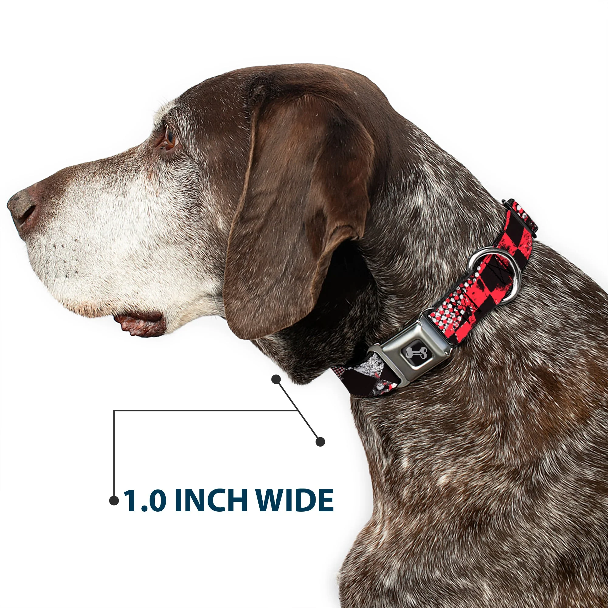 Dog Bone Seatbelt Buckle Collar - Grunge Checker Flag Red - Image 6