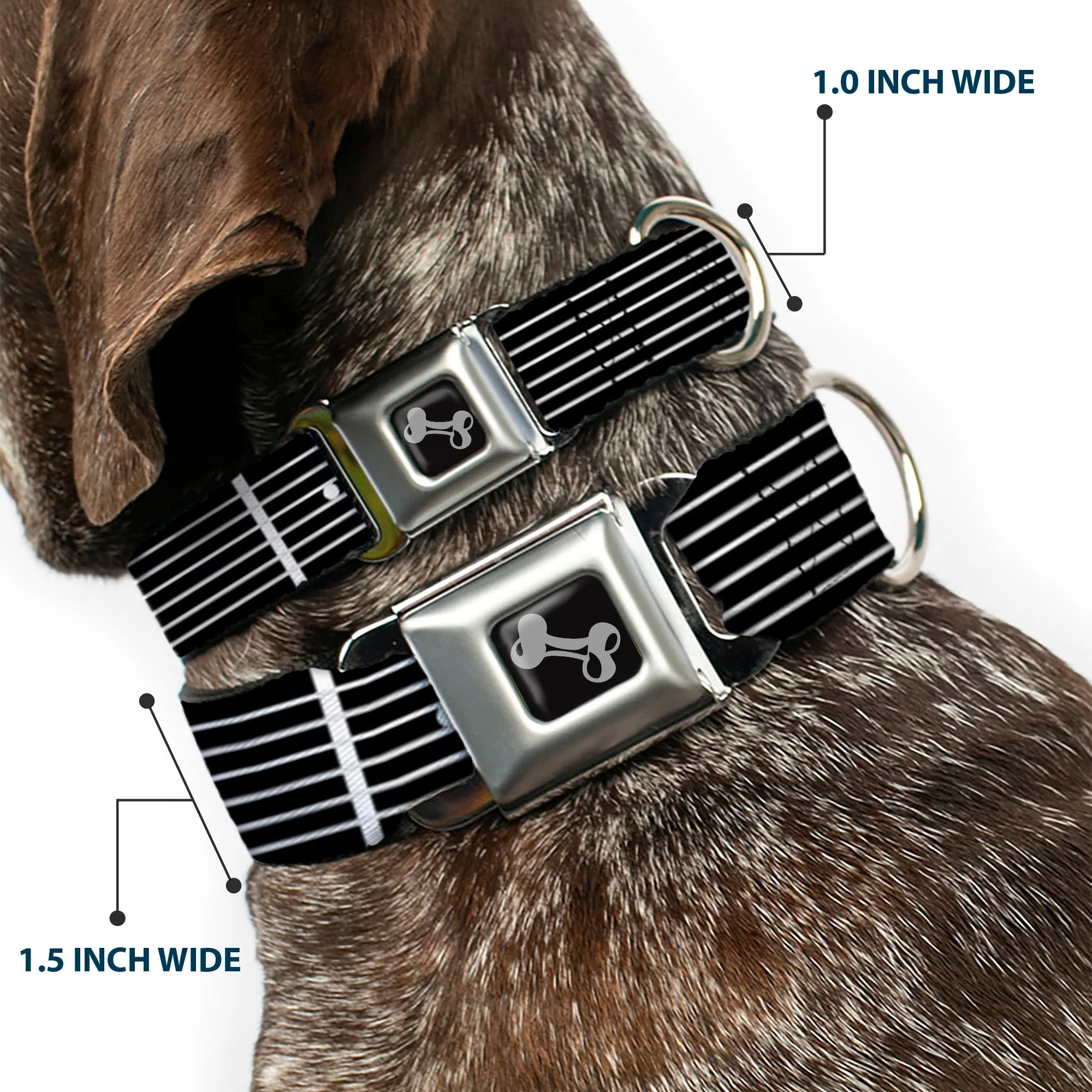 Dog Bone Seatbelt Buckle Collar - Guitar Neck Black/White - Image 2
