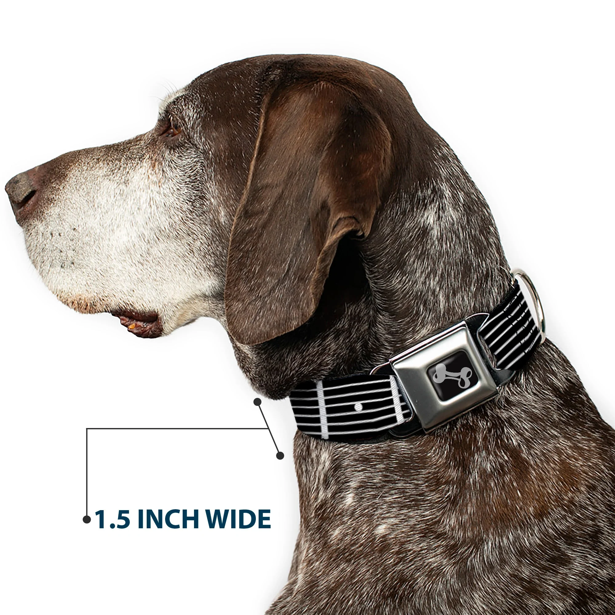 Dog Bone Seatbelt Buckle Collar - Guitar Neck Black/White - Image 7