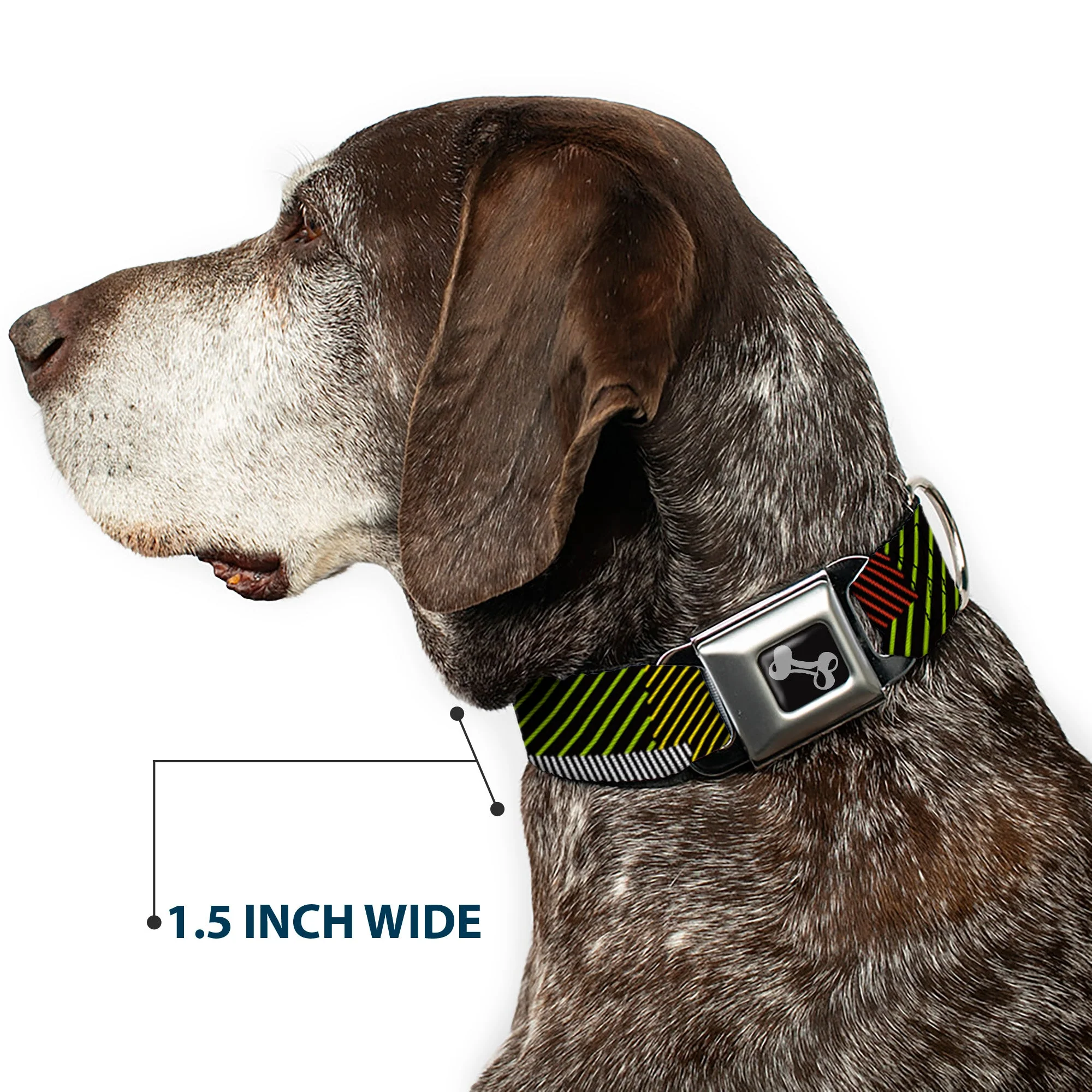 Dog Bone Seatbelt Buckle Collar - Hash Mark Stripe Black/Multi Color - Image 7