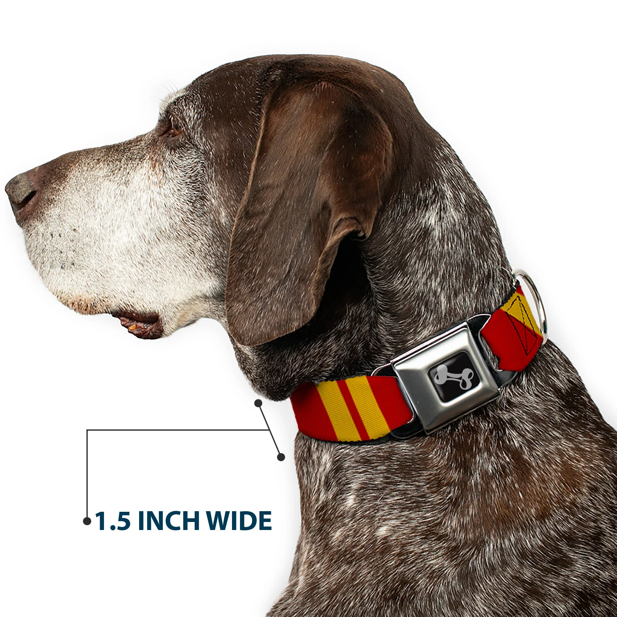 Dog Bone Seatbelt Buckle Collar - Hash Mark Stripe Double Maroon/Gold - Image 7