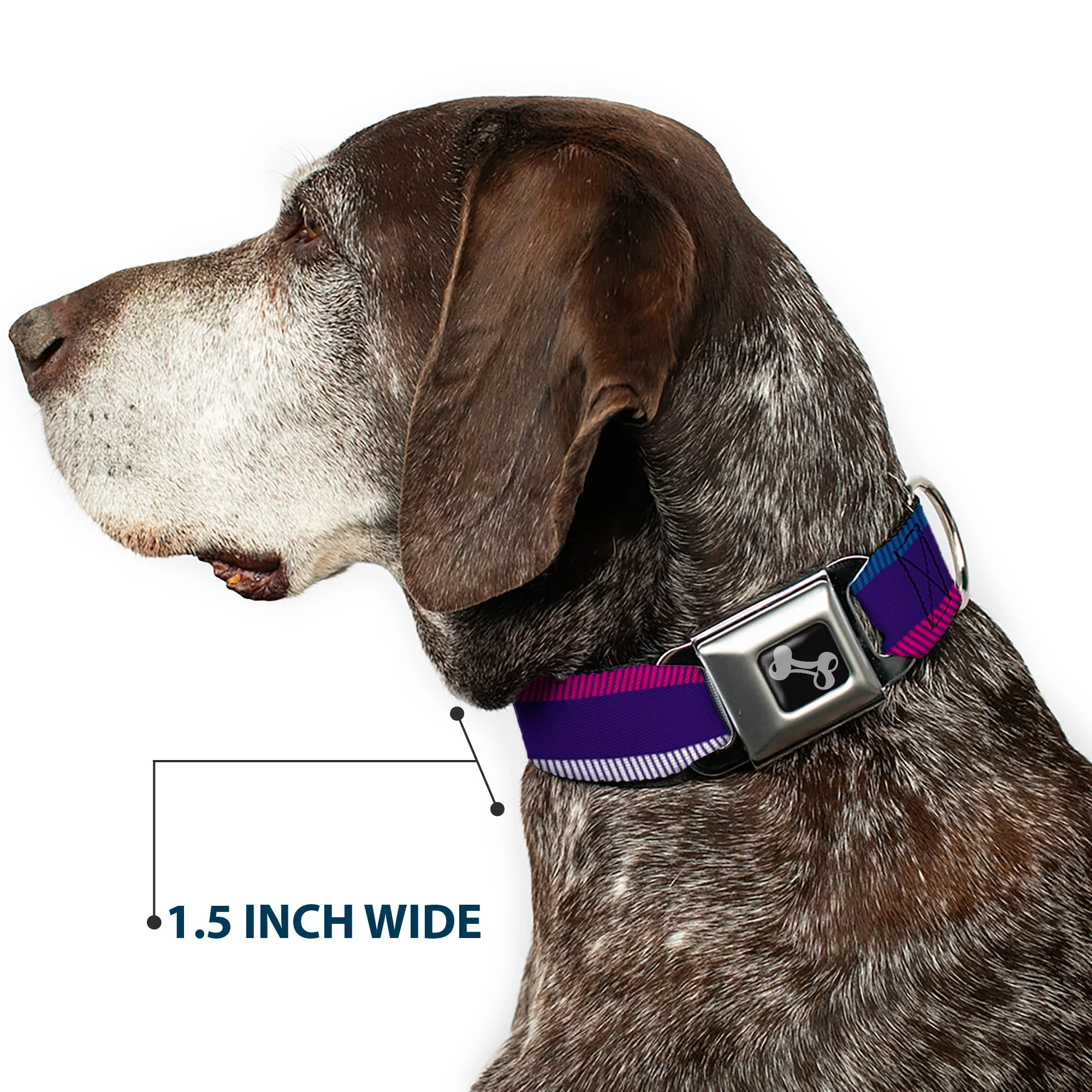 Dog Bone Seatbelt Buckle Collar - Hash Mark Stripe Navy/Turquoise/Fuchsia/White - Image 7