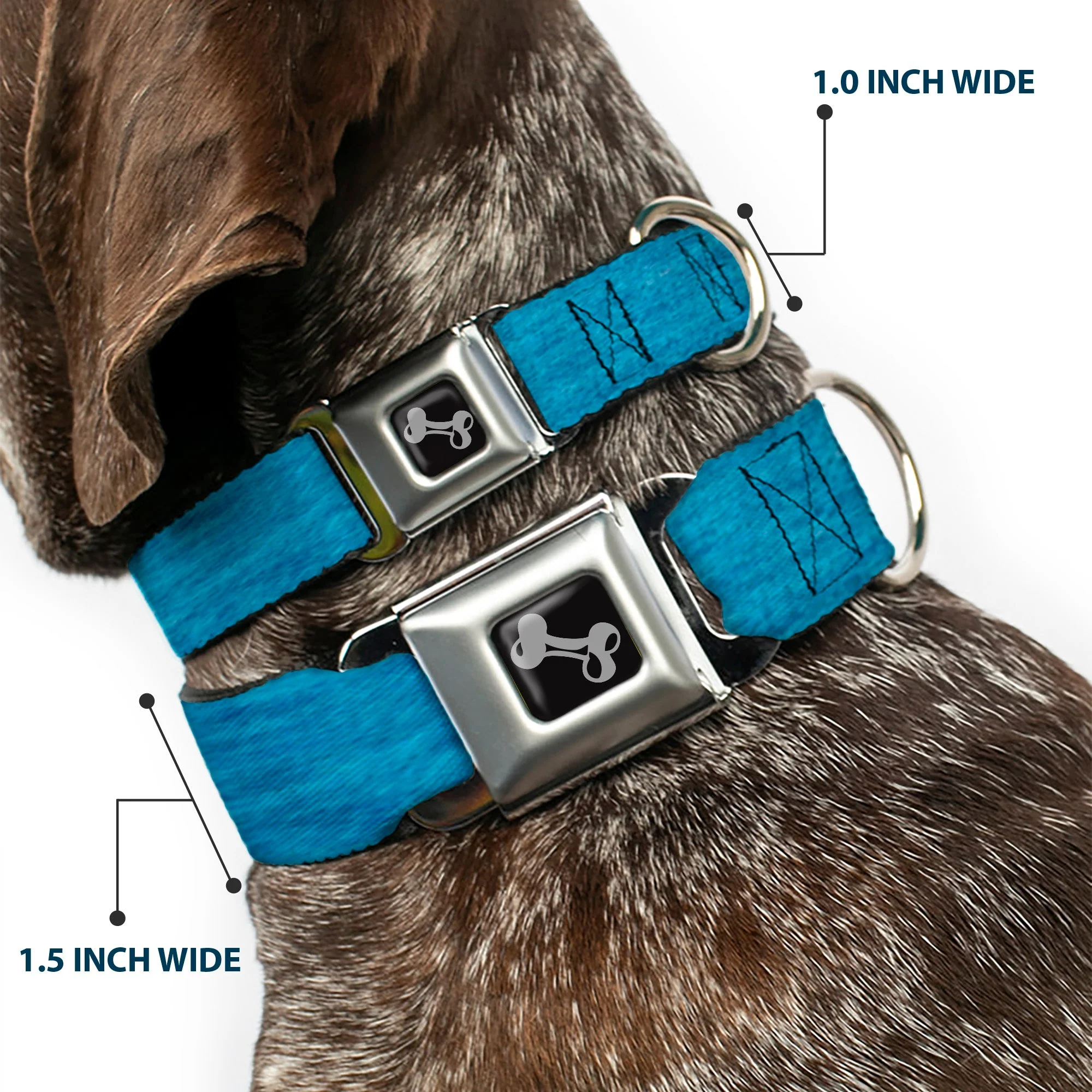 Dog Bone Seatbelt Buckle Collar - Heather Blue - Image 2