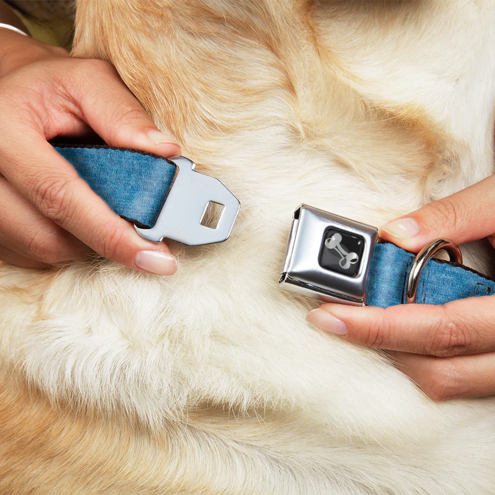 Dog Bone Seatbelt Buckle Collar - Heather Blue - Image 8