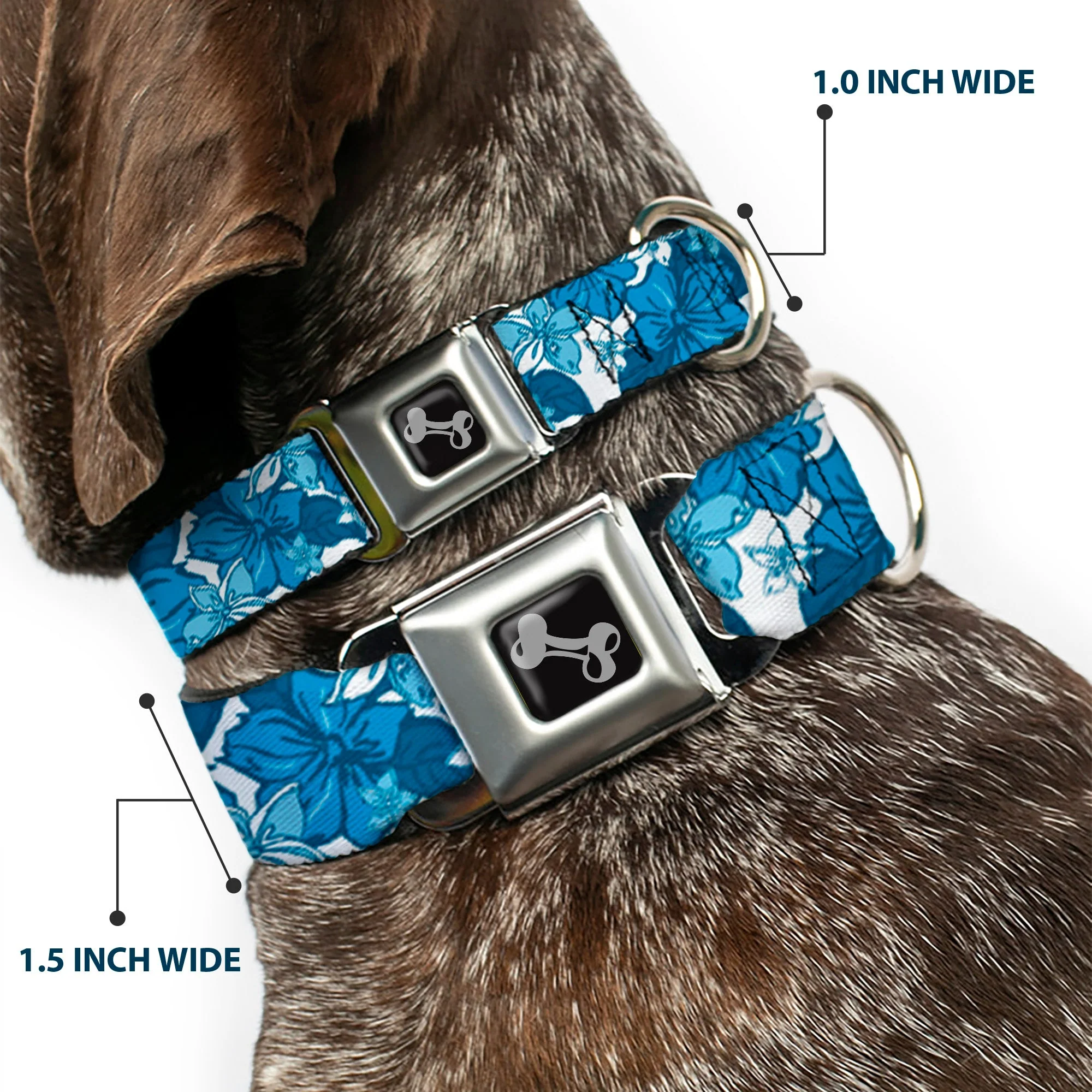 Dog Bone Seatbelt Buckle Collar - Hibiscus Collage White/Blues - Image 2