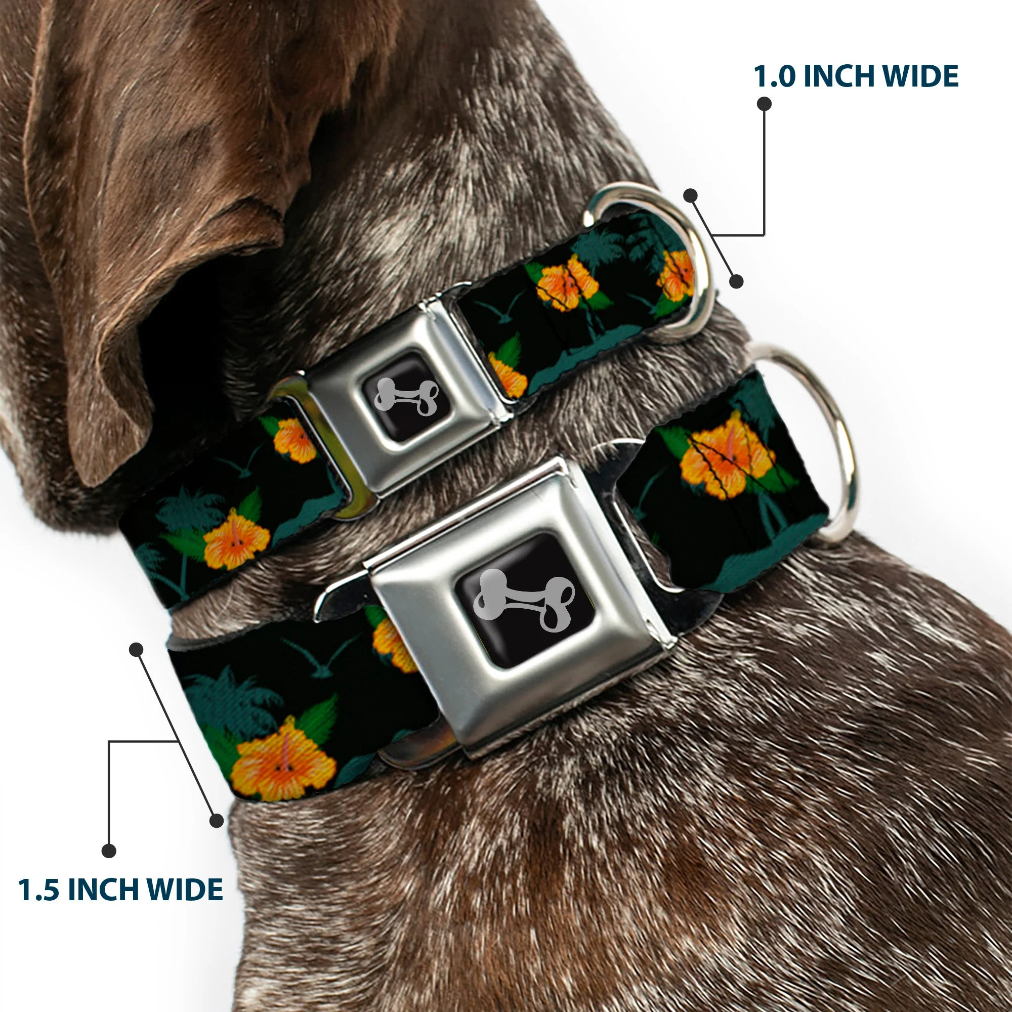 Dog Bone Seatbelt Buckle Collar - Hibiscus Flowers Black/Green/Orange - Image 2