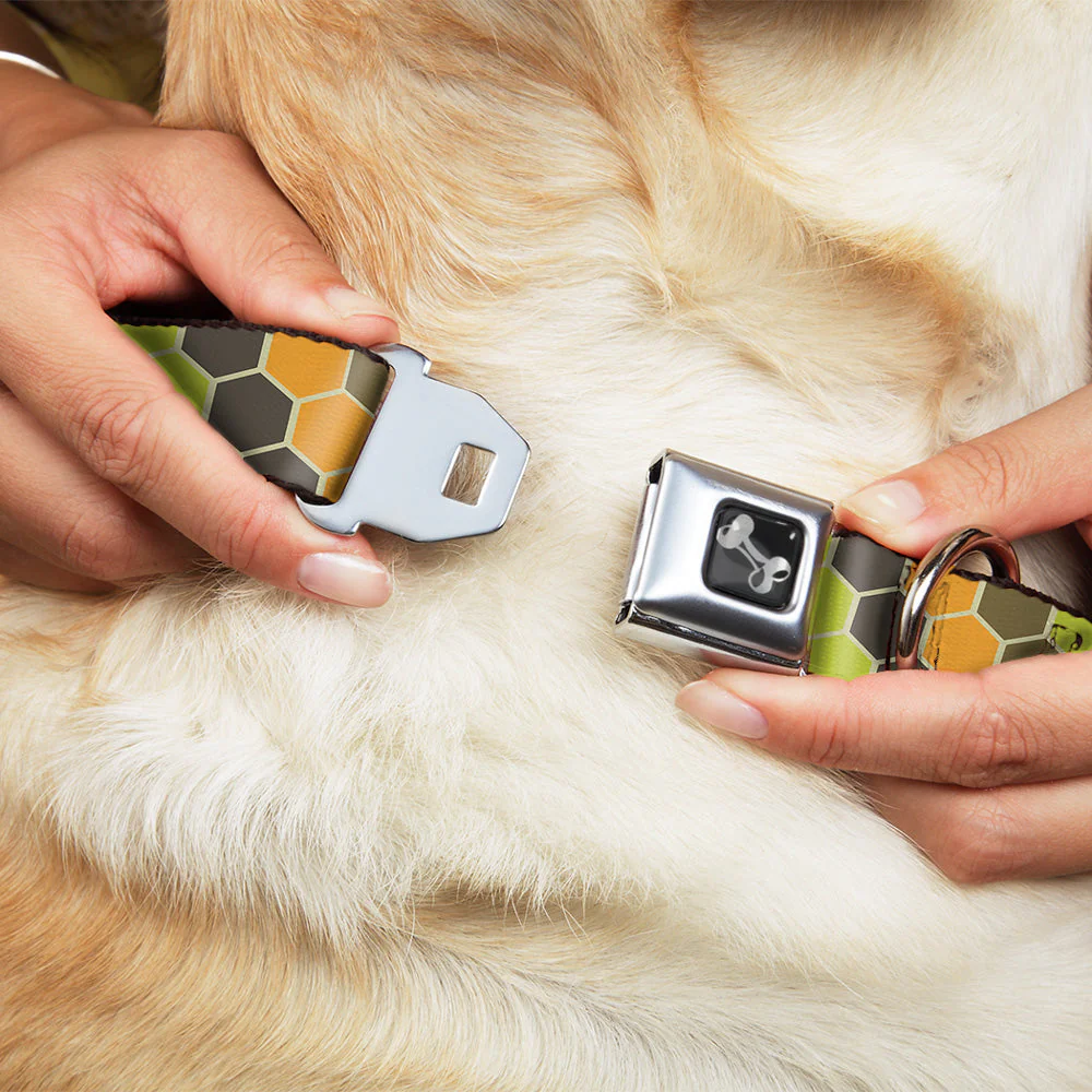 Dog Bone Seatbelt Buckle Collar - Honeycomb Greens/Orange - Image 8