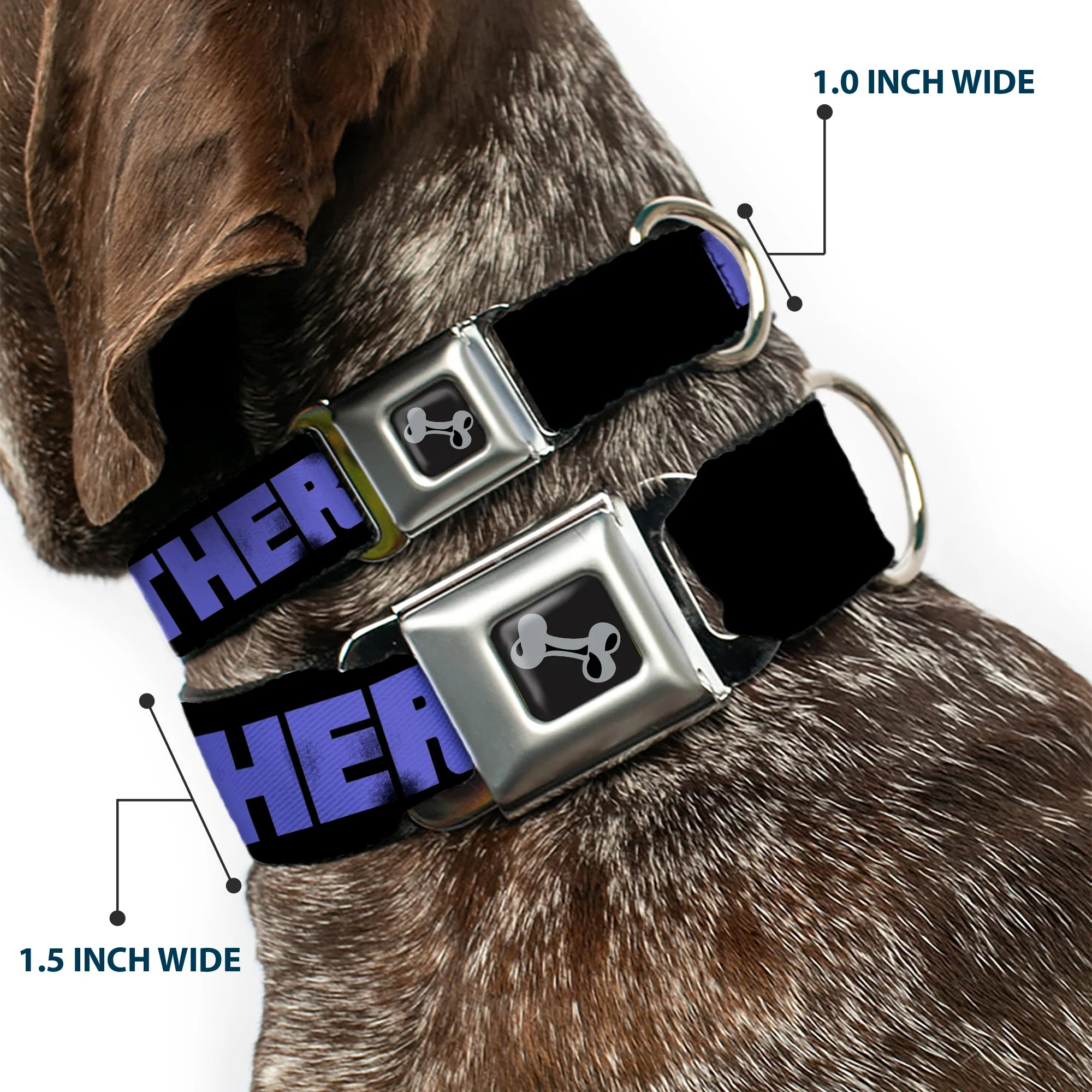 Dog Bone Seatbelt Buckle Collar - I SEE WHAT YOU DID THERE Weathered Black/Purple - Image 2