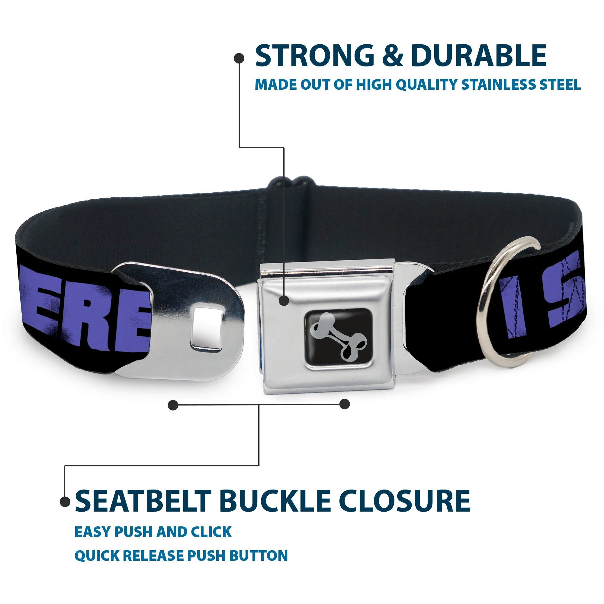 Dog Bone Seatbelt Buckle Collar - I SEE WHAT YOU DID THERE Weathered Black/Purple - Image 4