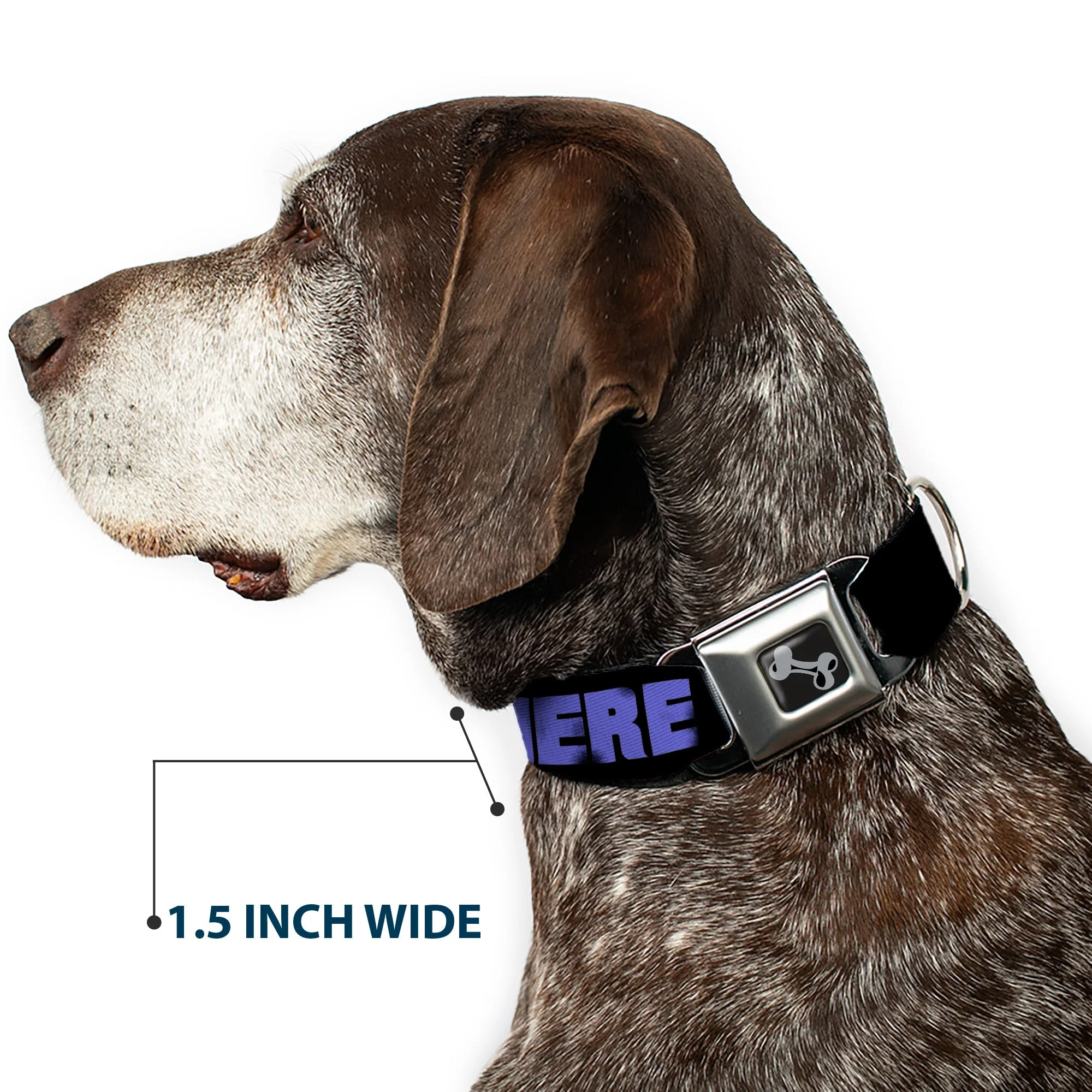 Dog Bone Seatbelt Buckle Collar - I SEE WHAT YOU DID THERE Weathered Black/Purple - Image 7